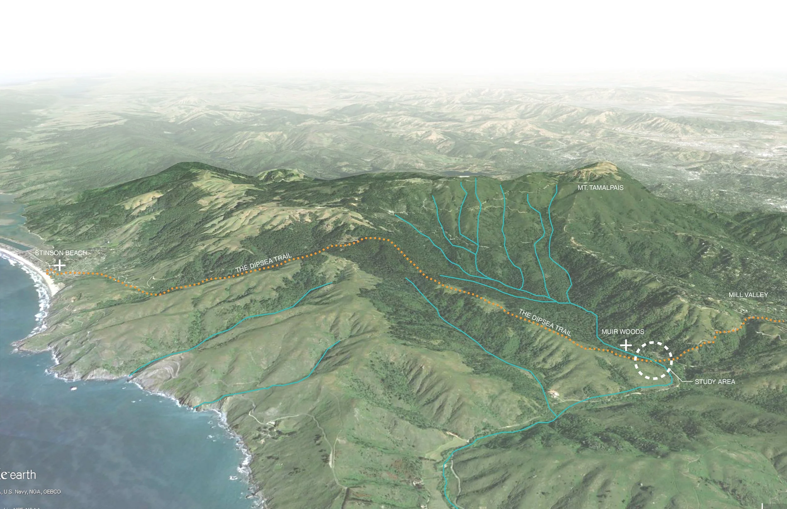 Bird's Eye Context Map.jpg