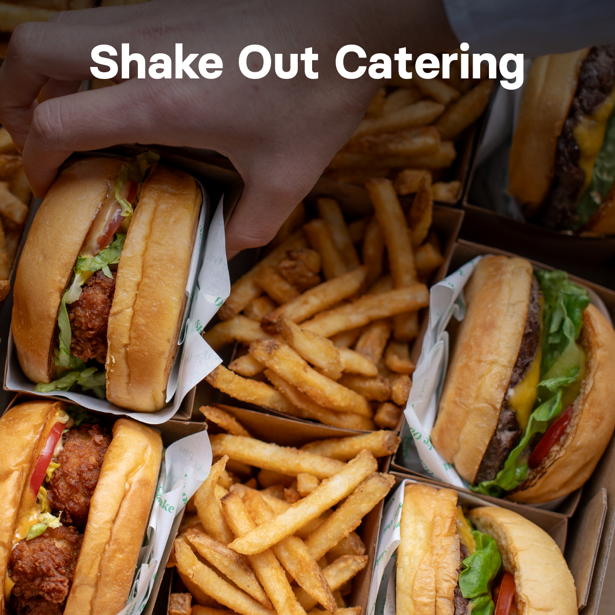 Shake Out Website Navigation tile 4.png