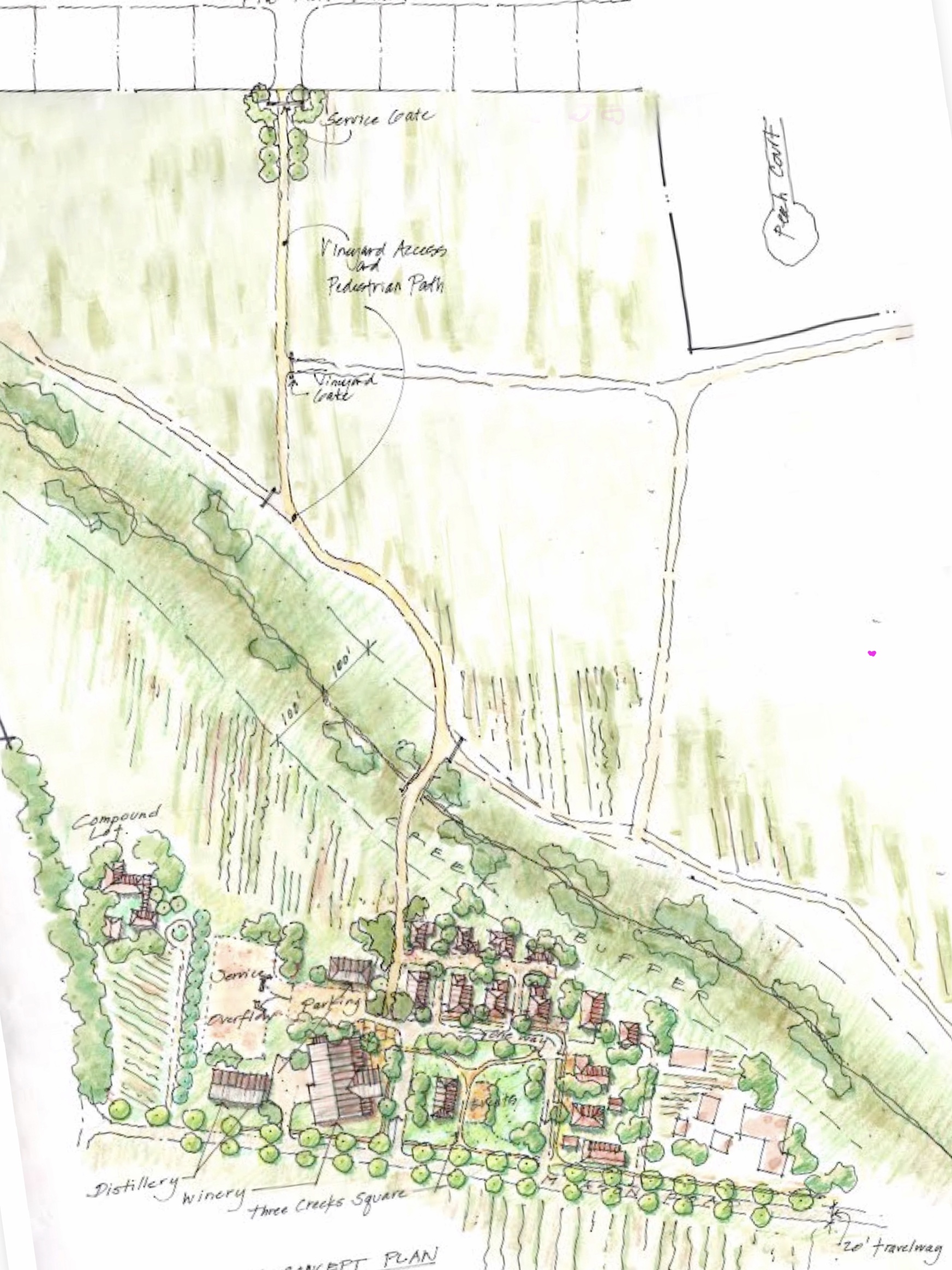 Image created in partnership with Cultivate Planning & Landscape.