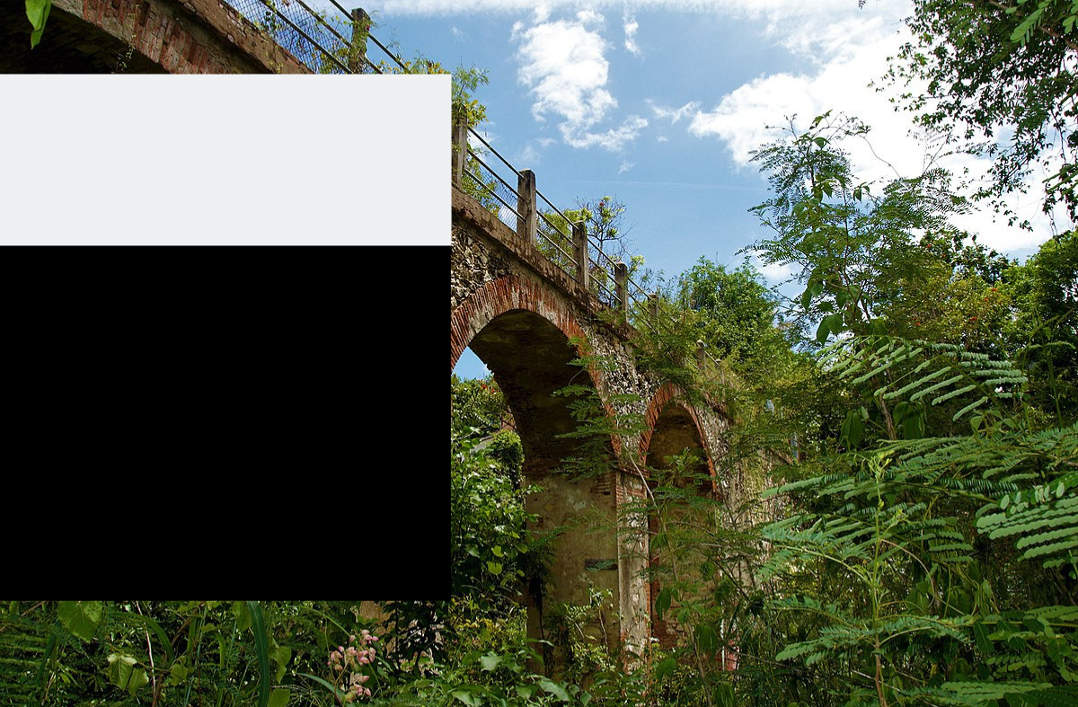 Untitled design (36).png