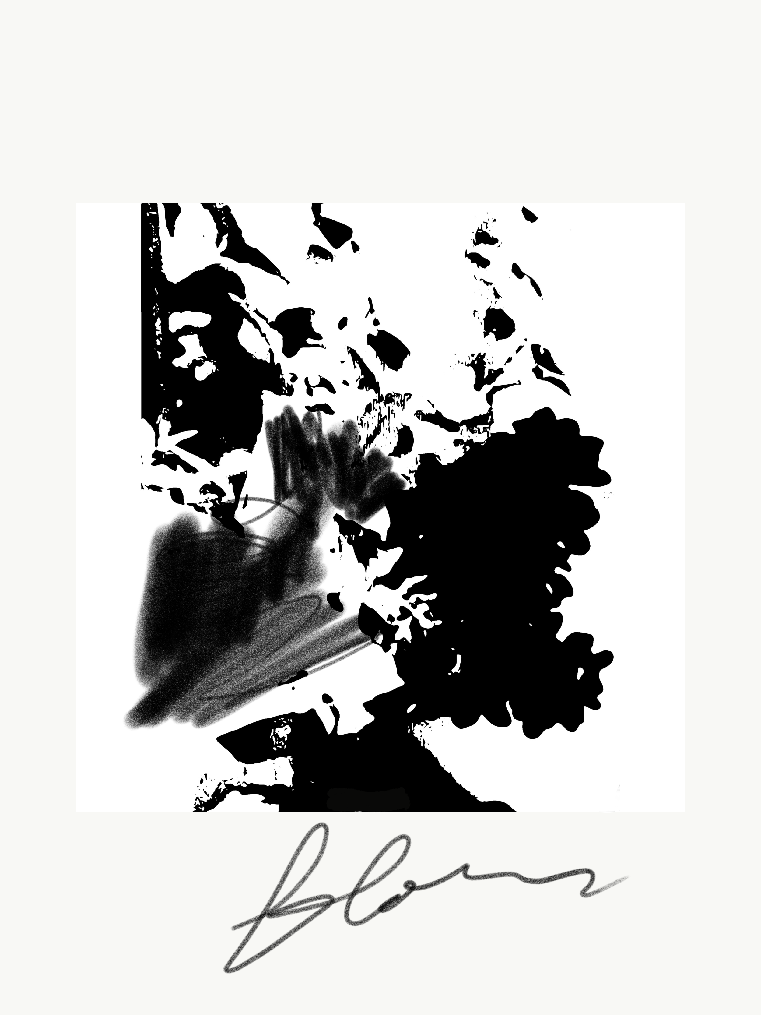 IMG_1551.PNG