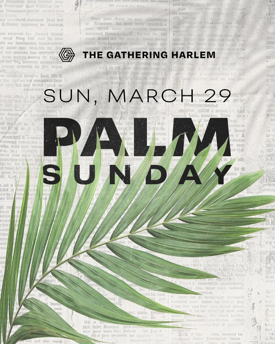 WhatsApp Image 2026-03-12 at 17.51.02 (1).jpeg