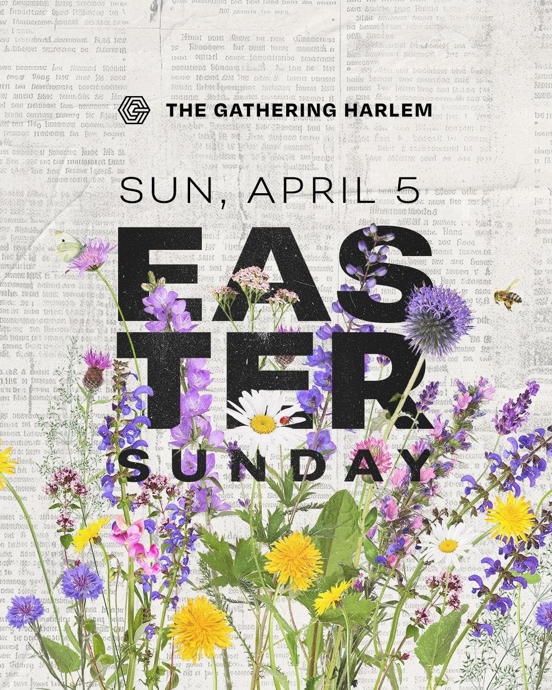 WhatsApp Image 2026-03-12 at 17.51.02 (2).jpeg