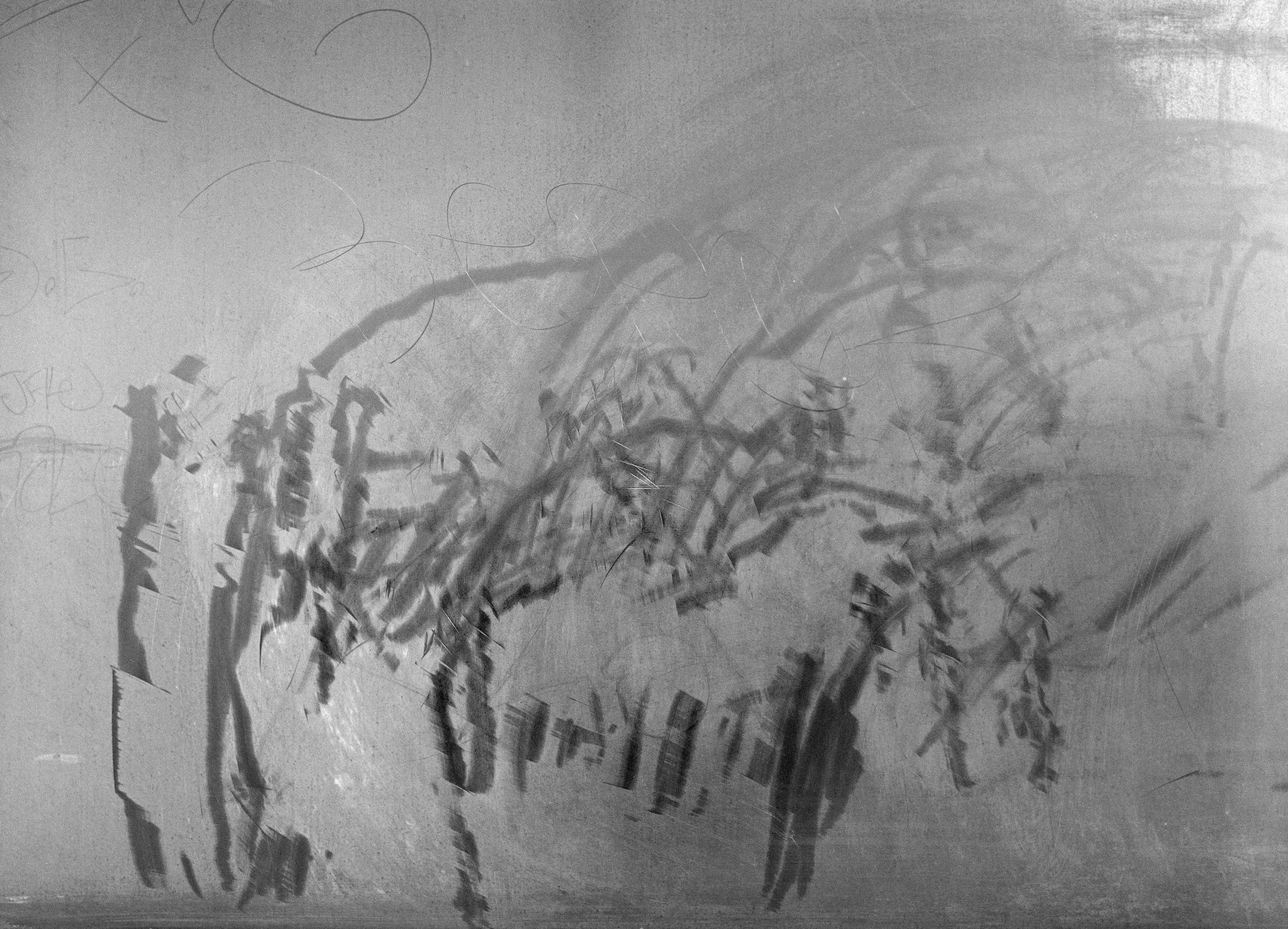 Traces, Natasha Lehner (2023)