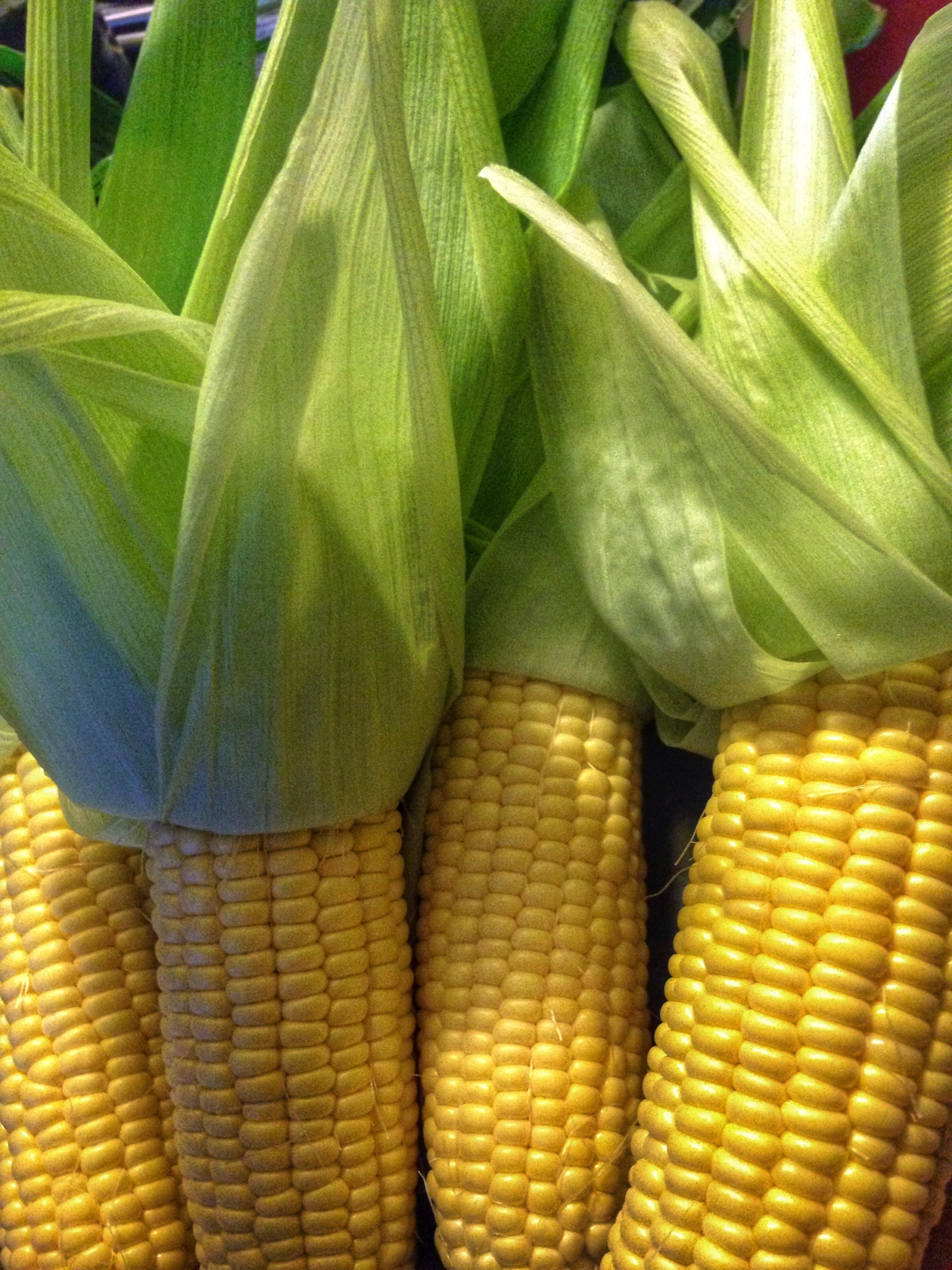 CORN- Shot on iPhone 5 on July 1, 2014.