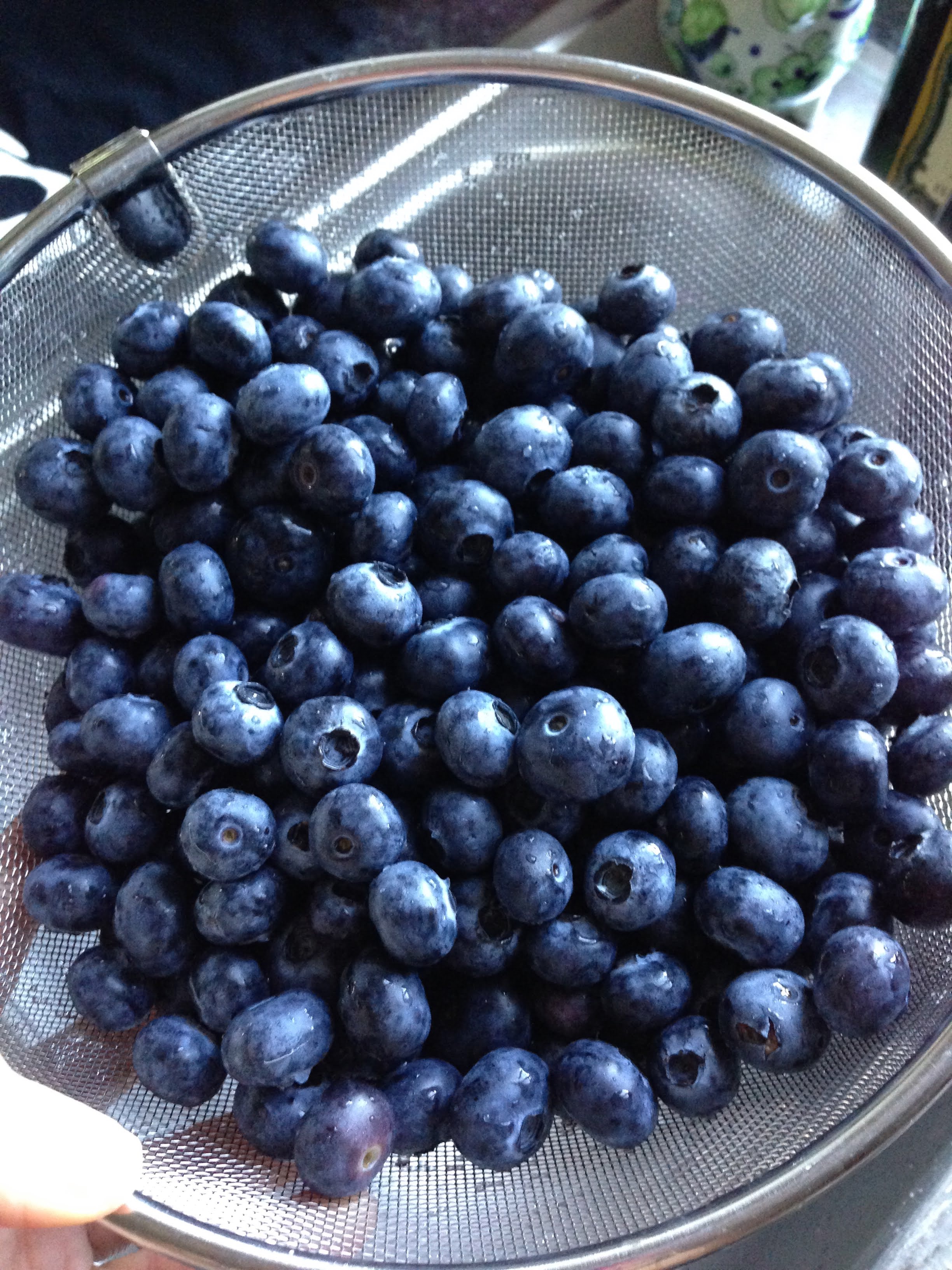 BLUEBERRIES- Shot July 17, 2016 with iPhone 5.
