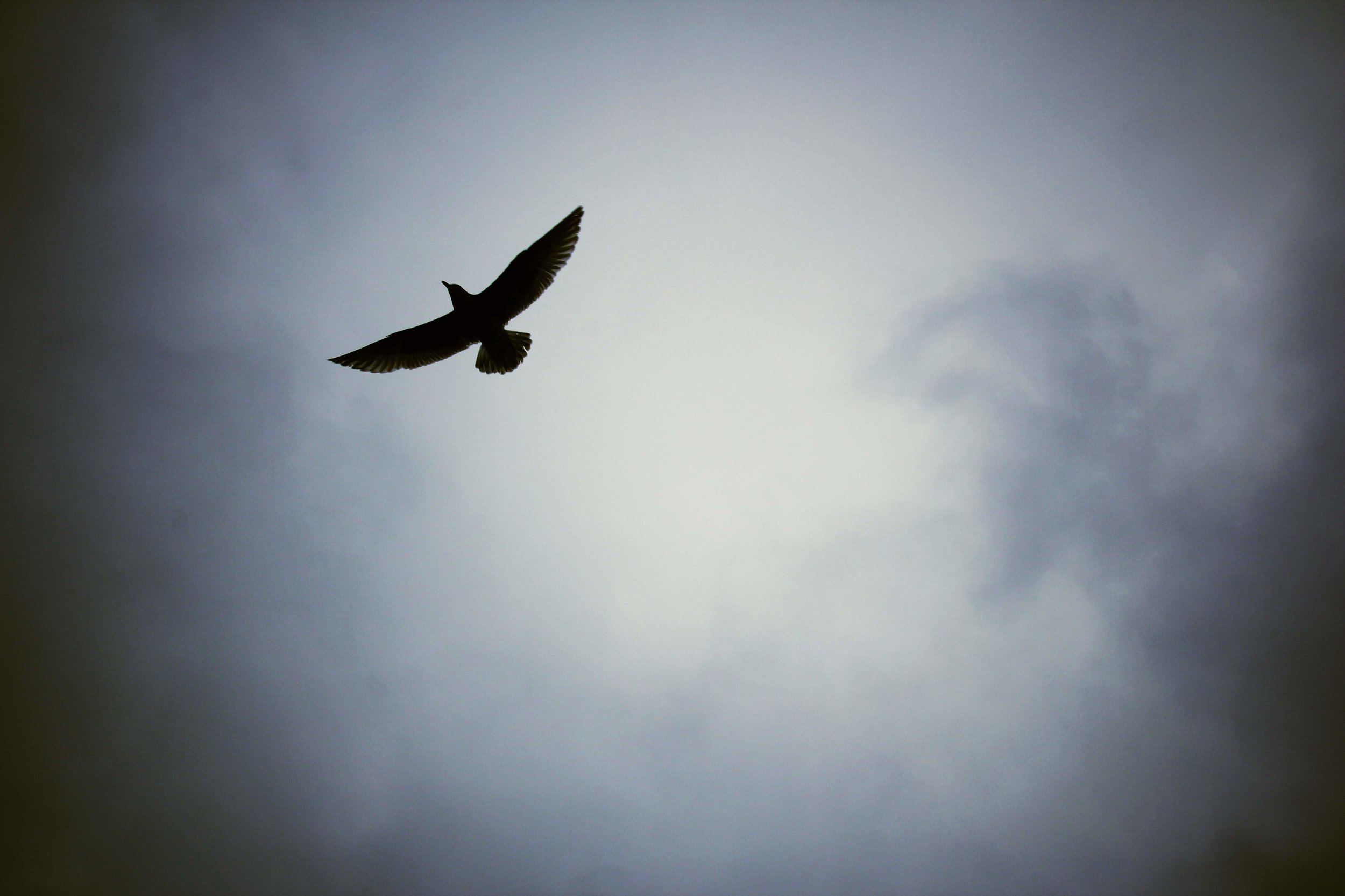 4D1040DB-316D-497C-891B-AA345AAC20B2.jpeg