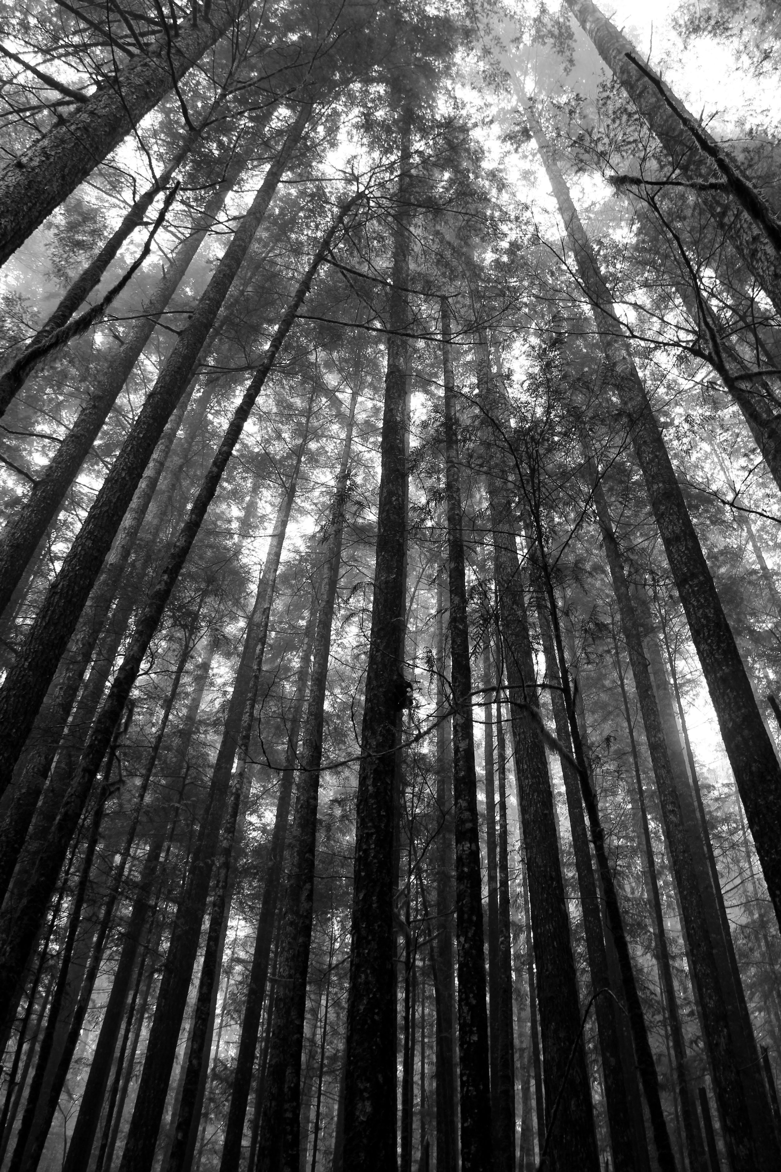 Taken with Canon EOS 60D