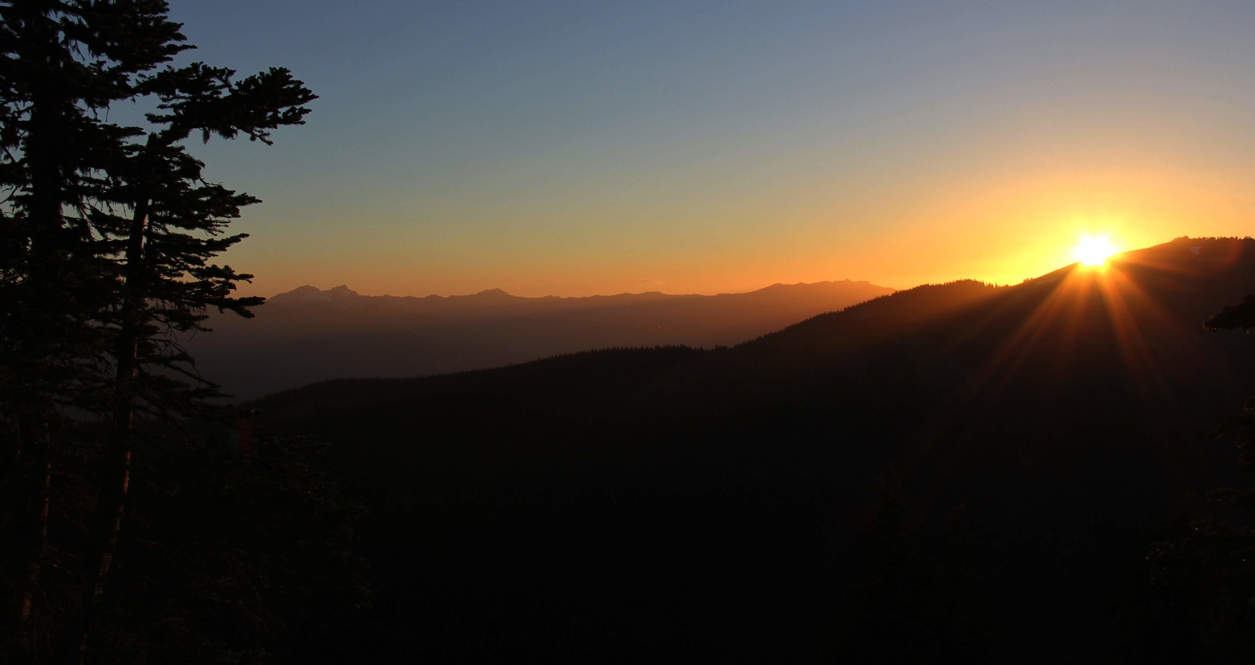 CDB5D046-0881-45B2-96FC-C3DF1E0A3021.jpeg