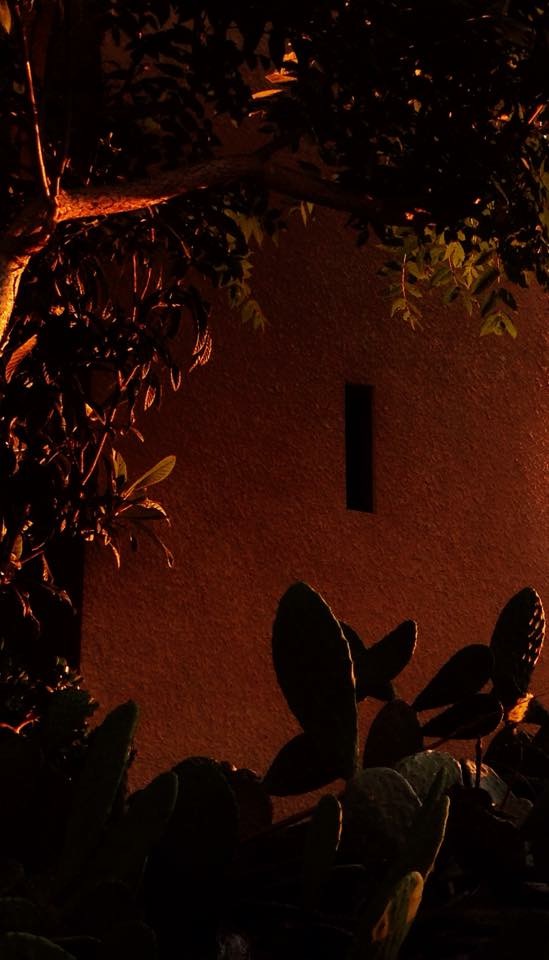 13093C48-25D0-46F7-9FA2-6D4615C340BF.jpeg