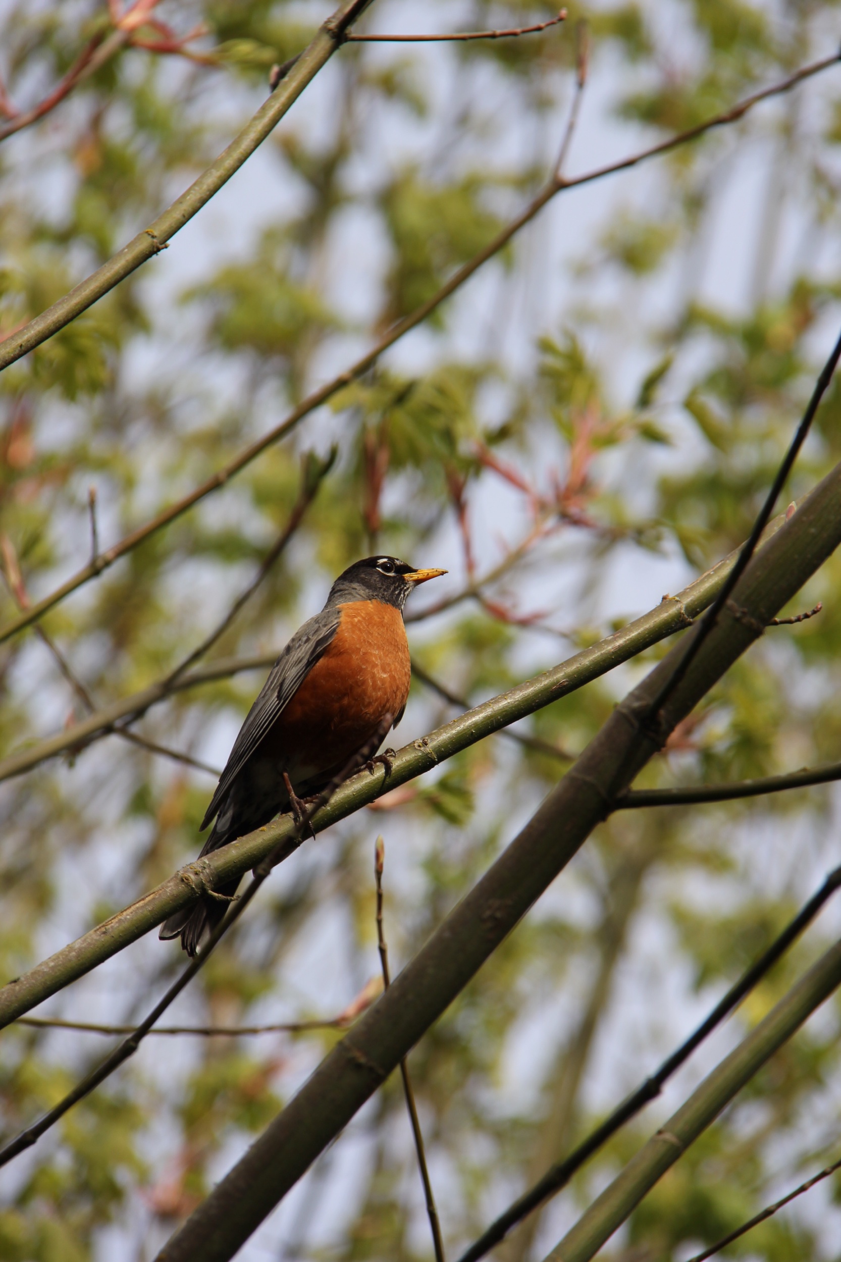 IMG_6468.jpeg