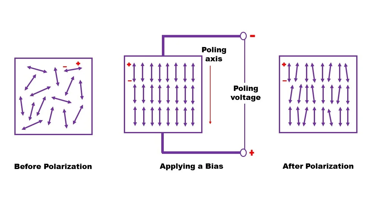 Ferroelectric domains represented as arrows will switch in the direction of a biasing field. The positive ends of the domain will face the negative bias and the negative ends will face the positive bias. After the bias is removed, most of the directionality will stay in the ferroelectric material.