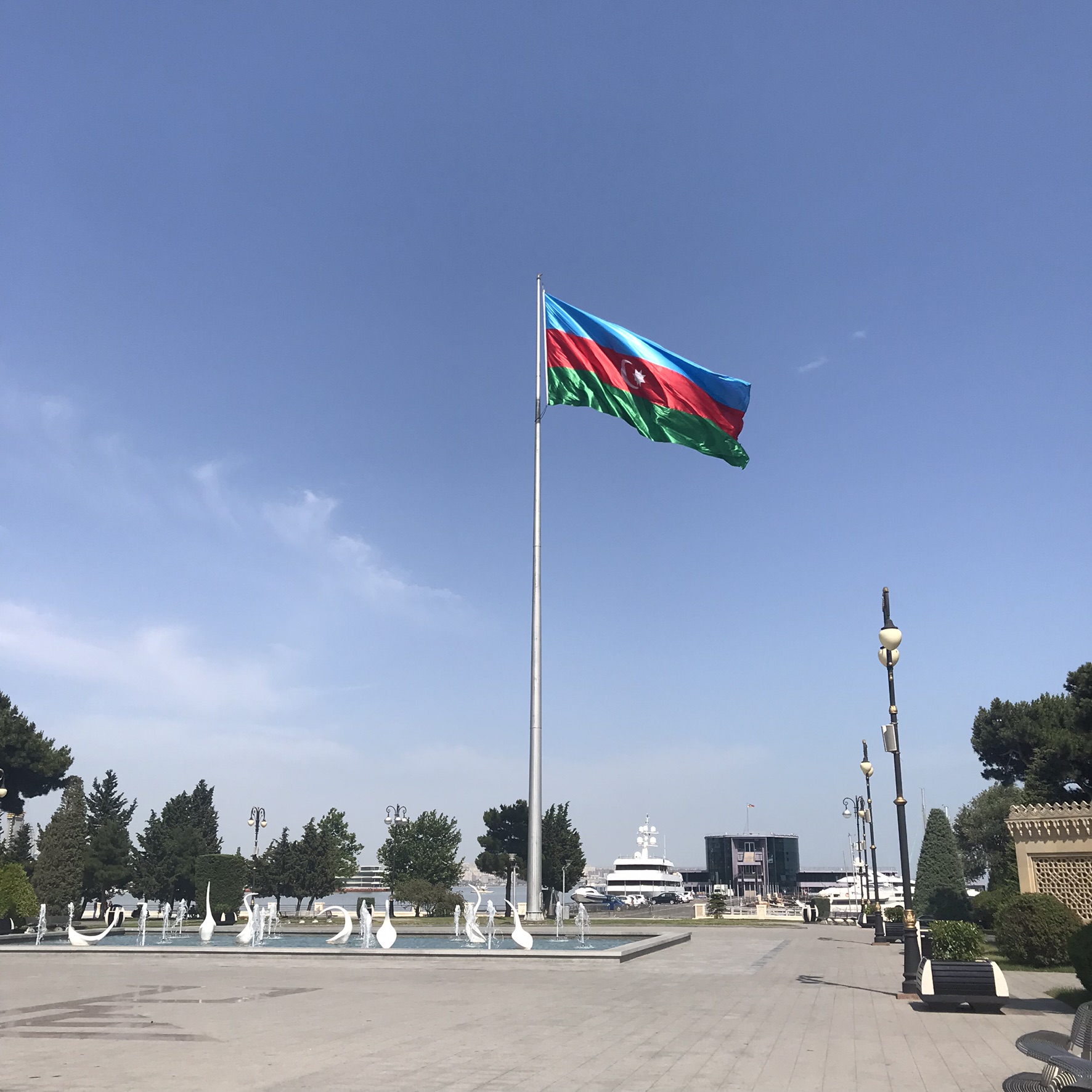 flag.jpeg