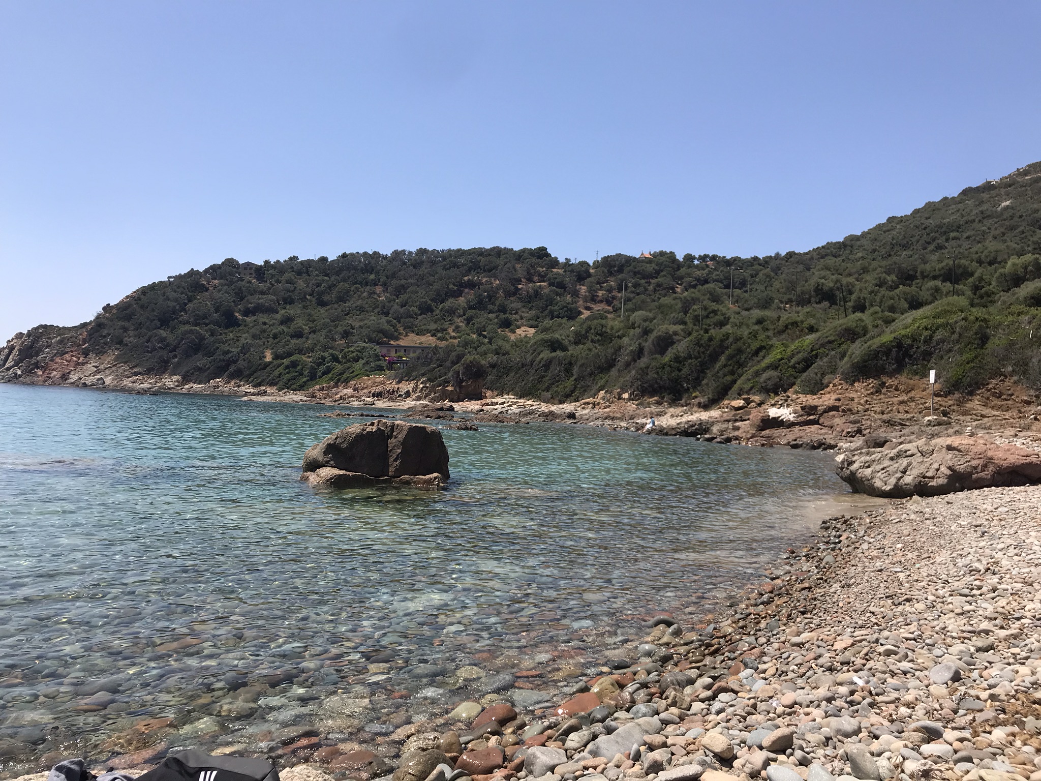 IMG_2368.jpeg