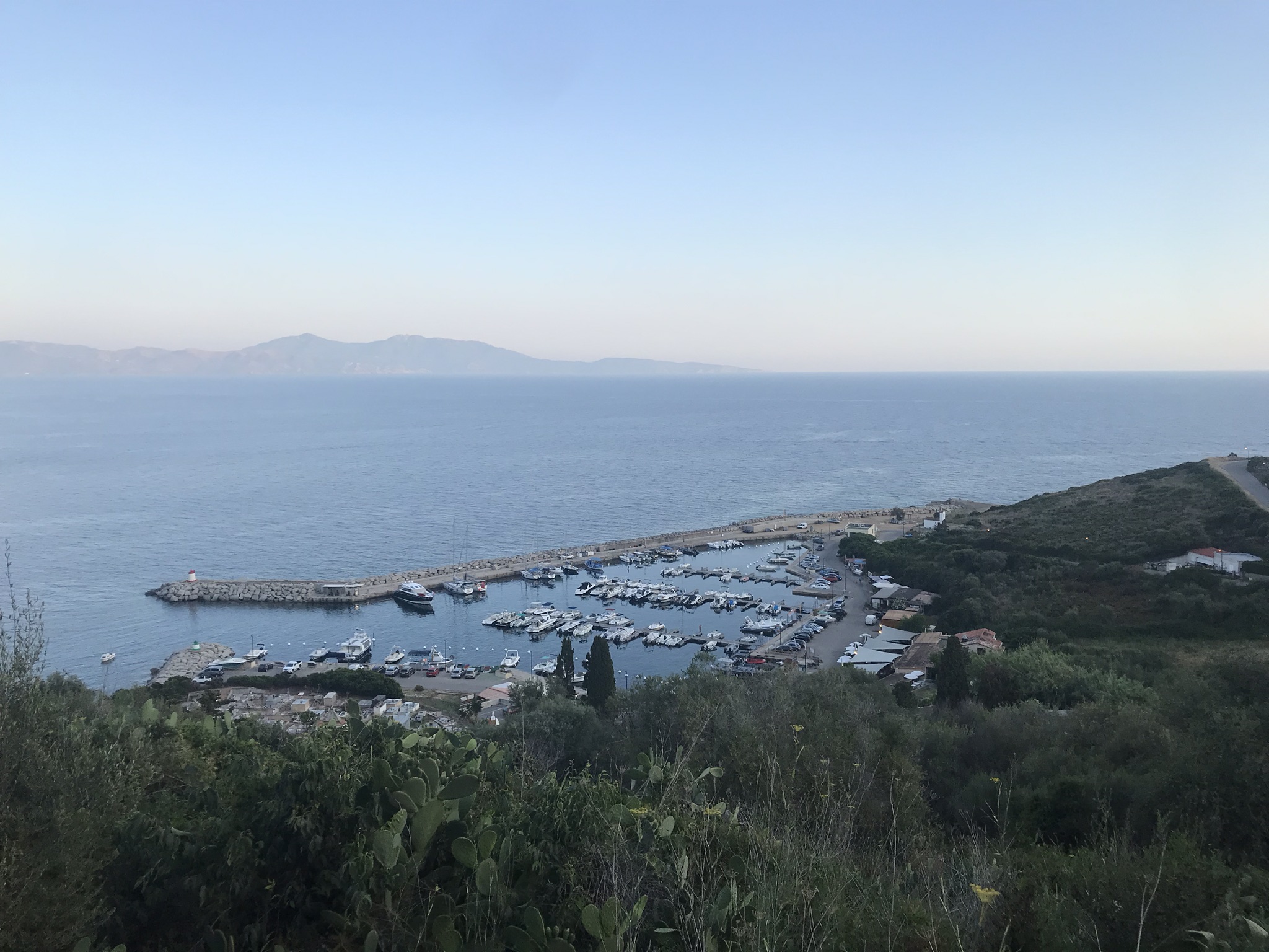 IMG_2441.jpeg