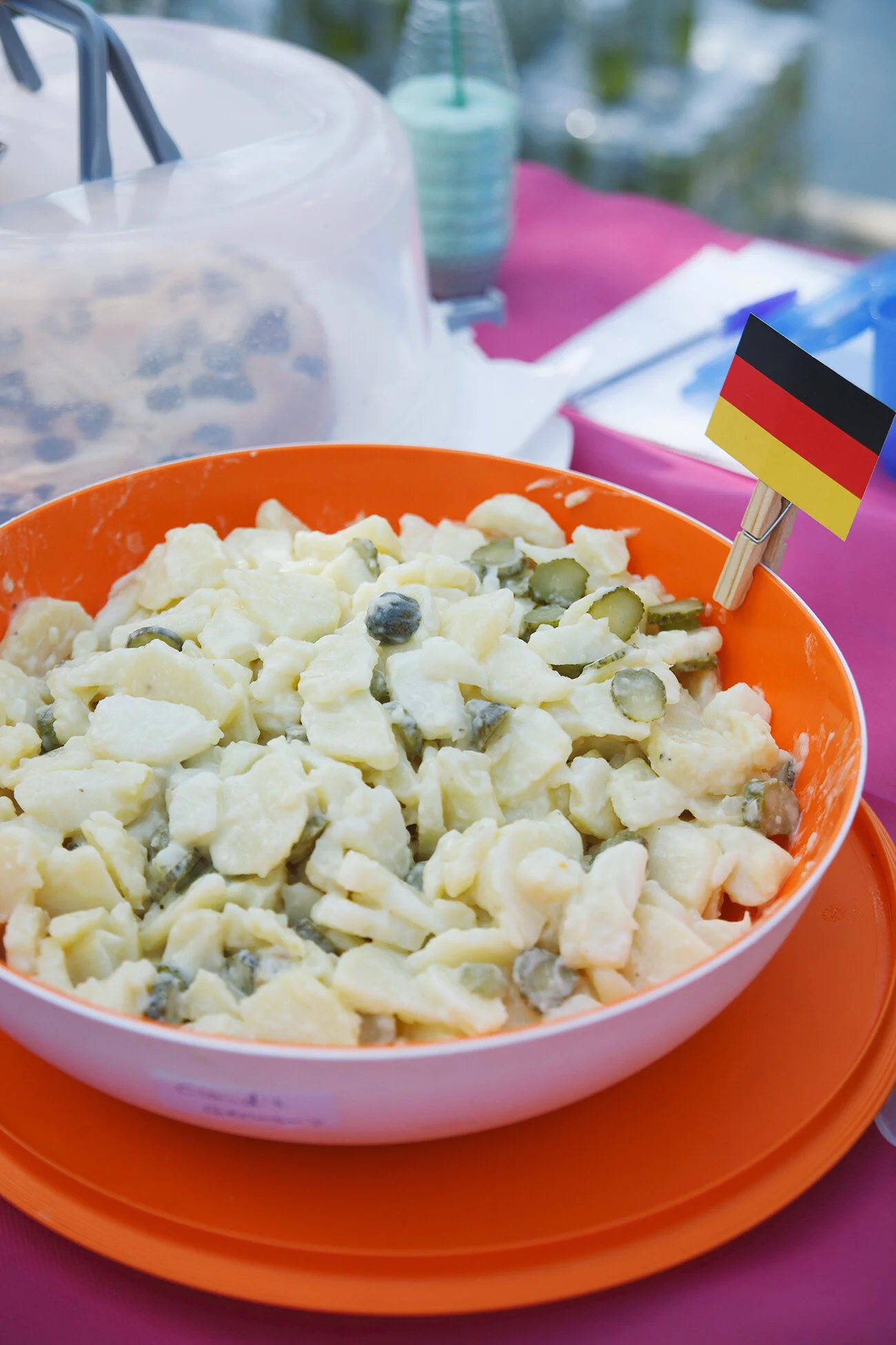 SocialFam Picnic by Katia Dzemina75.jpg