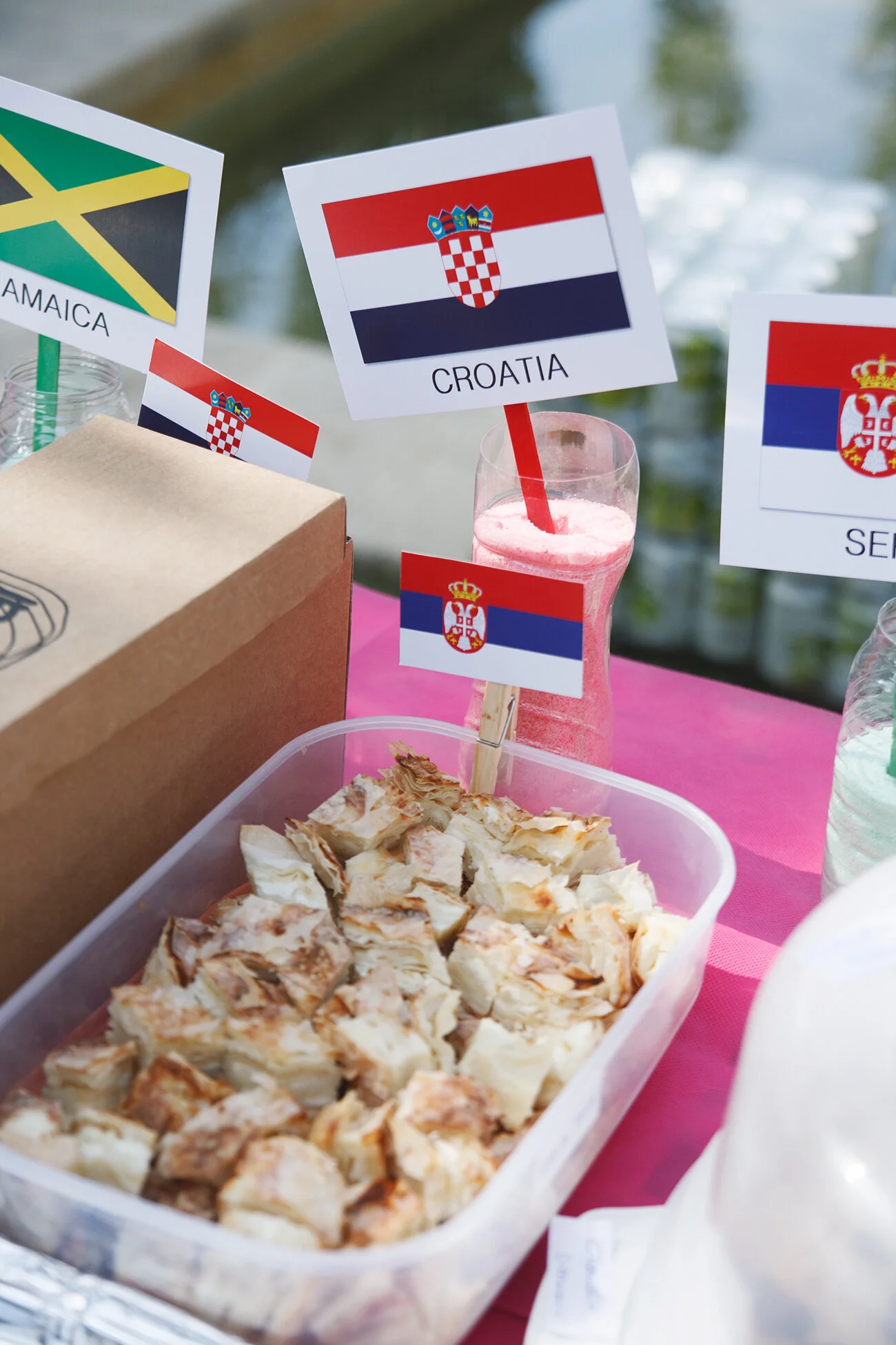 SocialFam Picnic by Katia Dzemina77.jpg