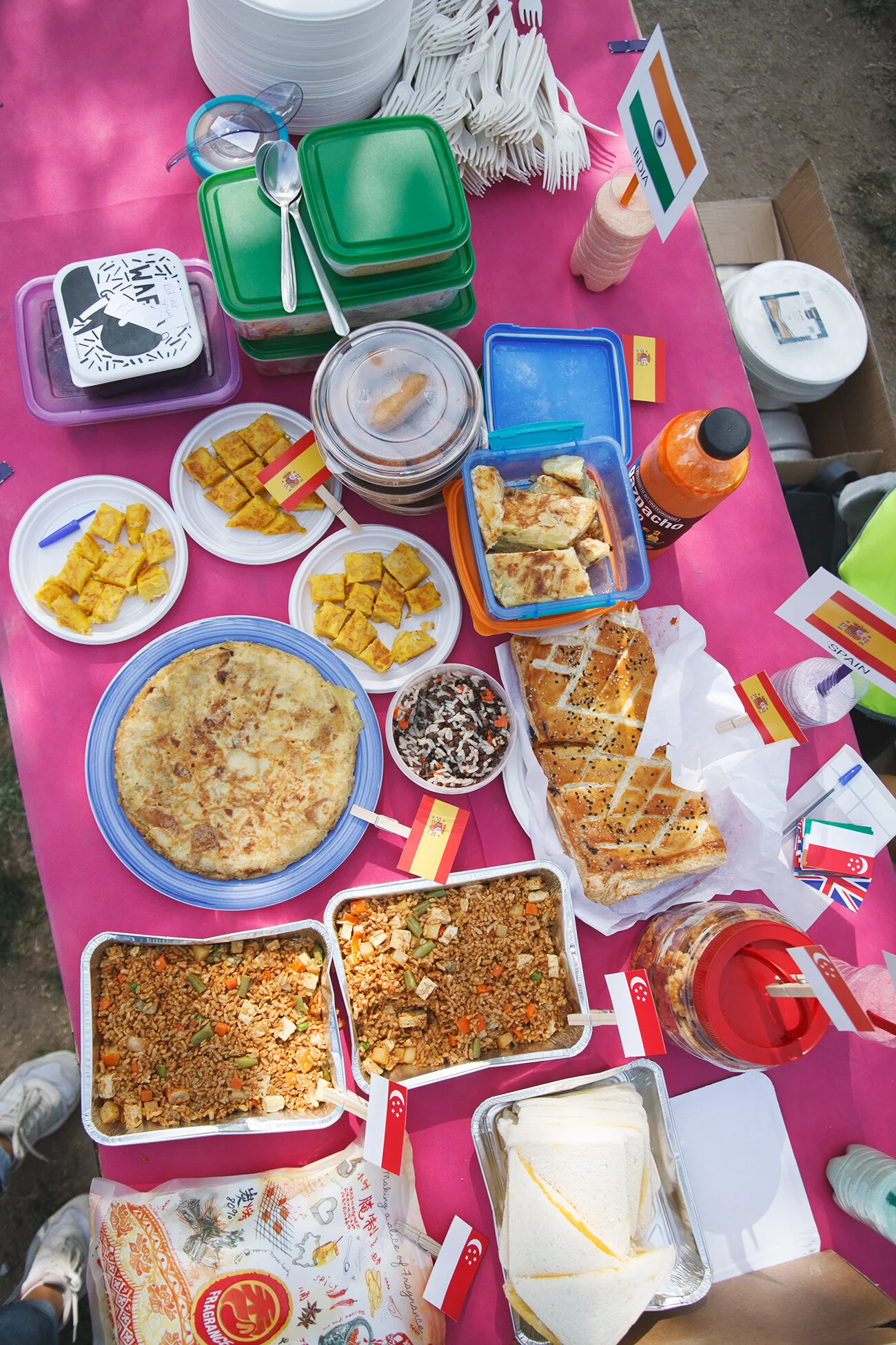 SocialFam Picnic by Katia Dzemina80.jpg