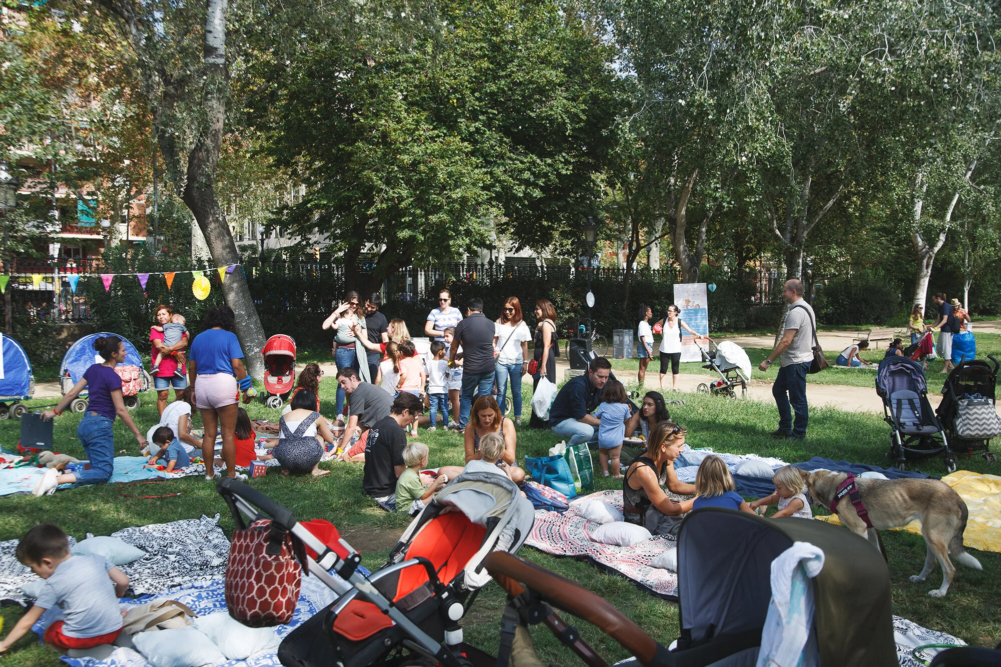 SocialFam Picnic by Katia Dzemina86.jpg