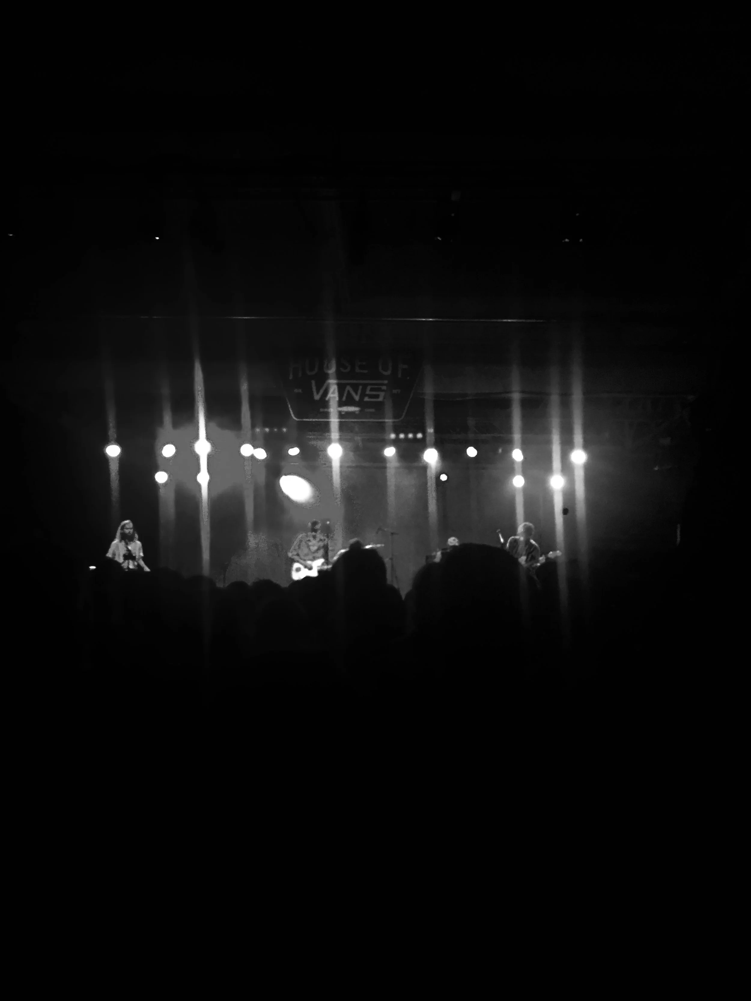 IMG_7983.jpeg