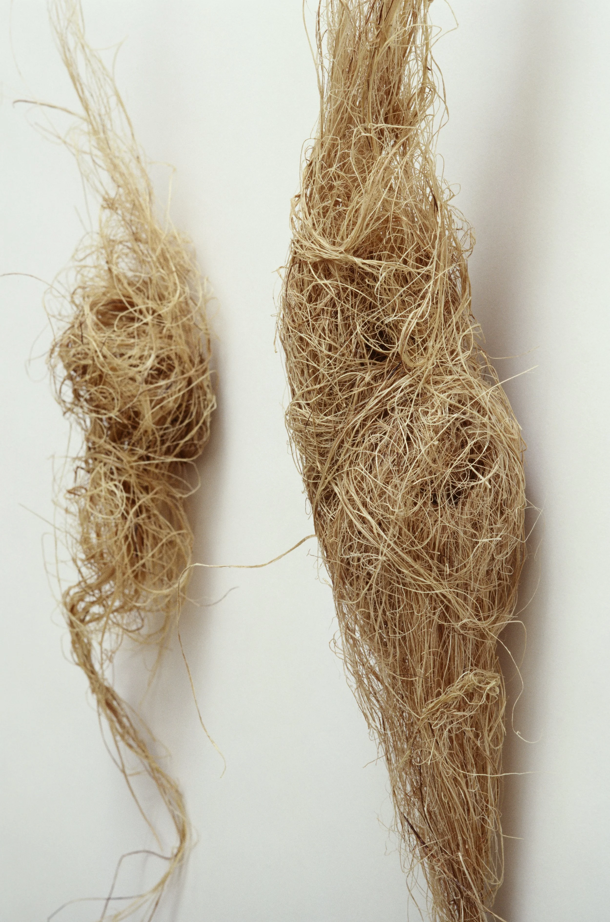 Hemp #2 (Detail)