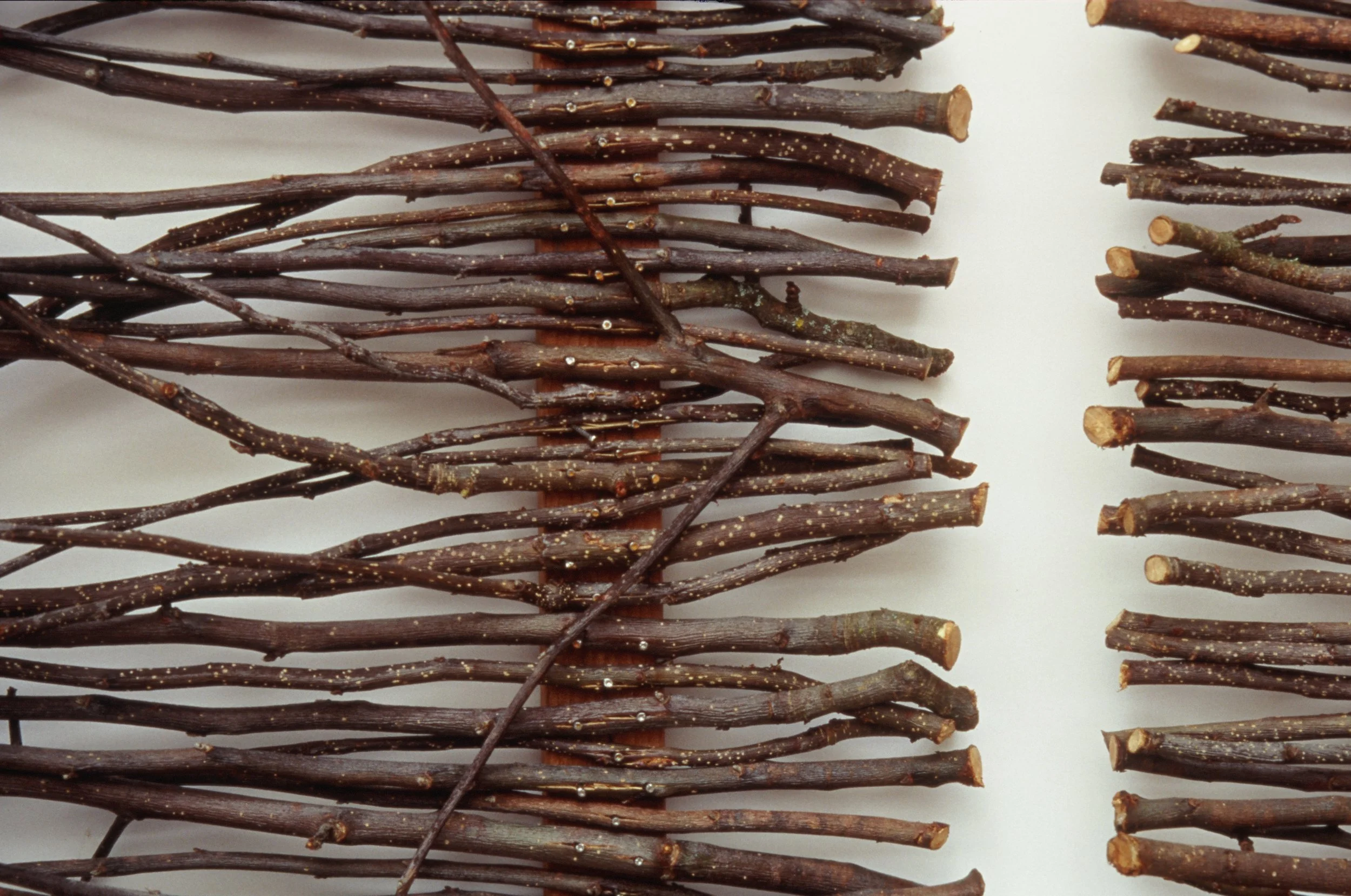 Sticks # 1 (Detail)