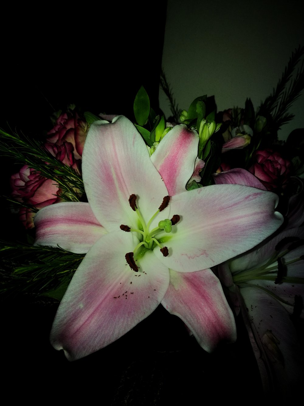 New love and dying lilies.jpg