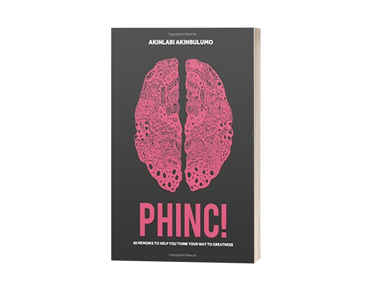 Phinc by Akinlabi Akinbulumo.jpeg