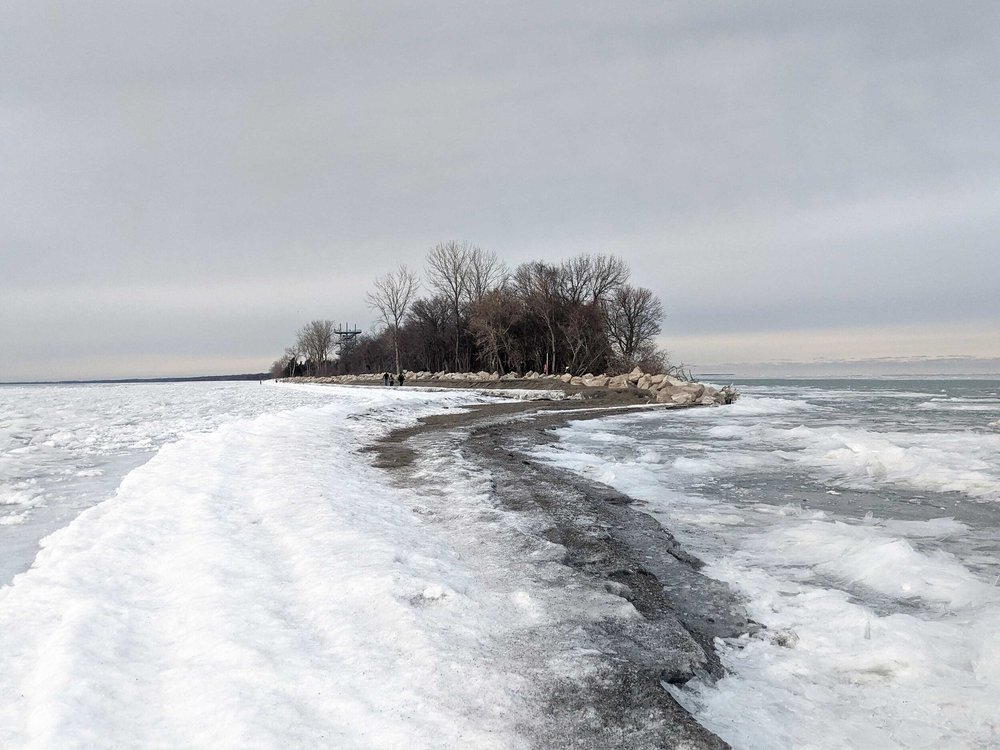 Your Essential Guide To Visiting Point Pelee National Park