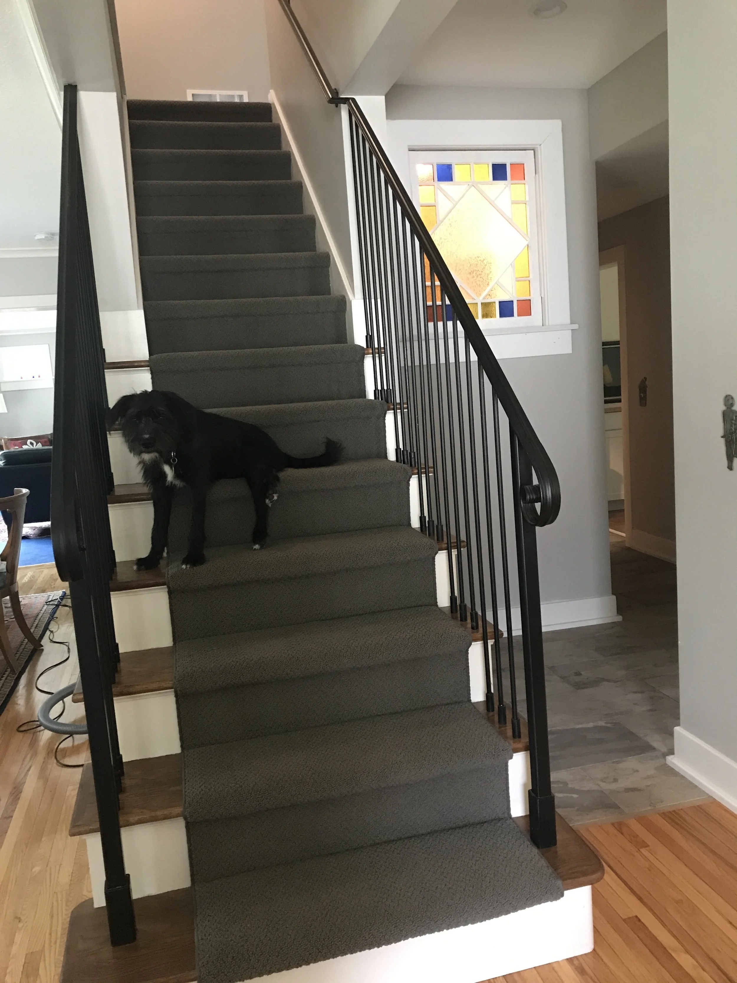 Nowak Renovation