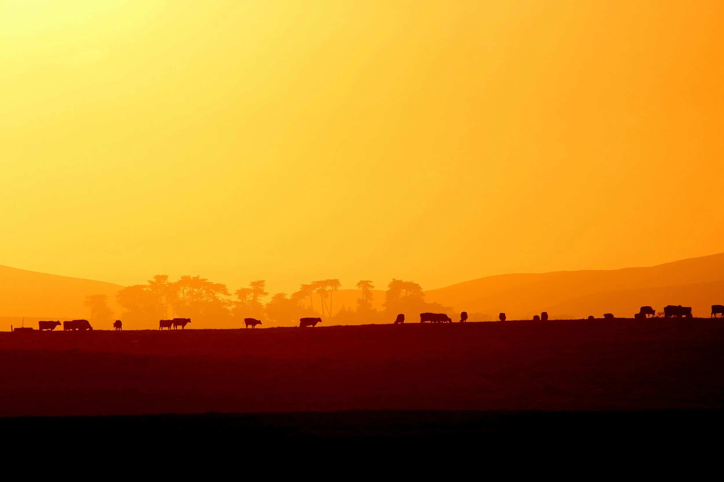 SCRSunset2.jpg