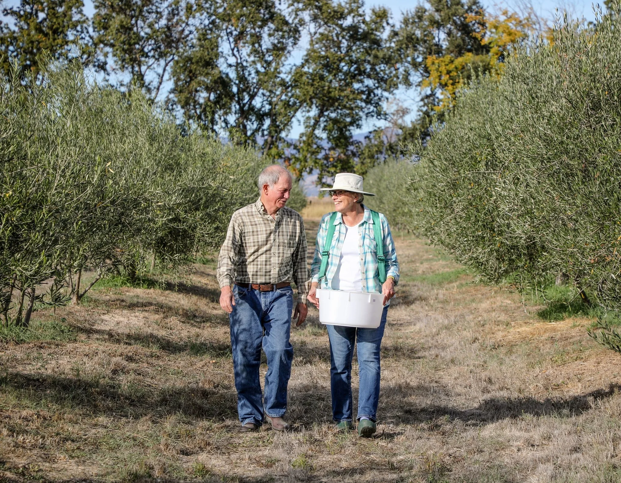 campodonicos1.jpg