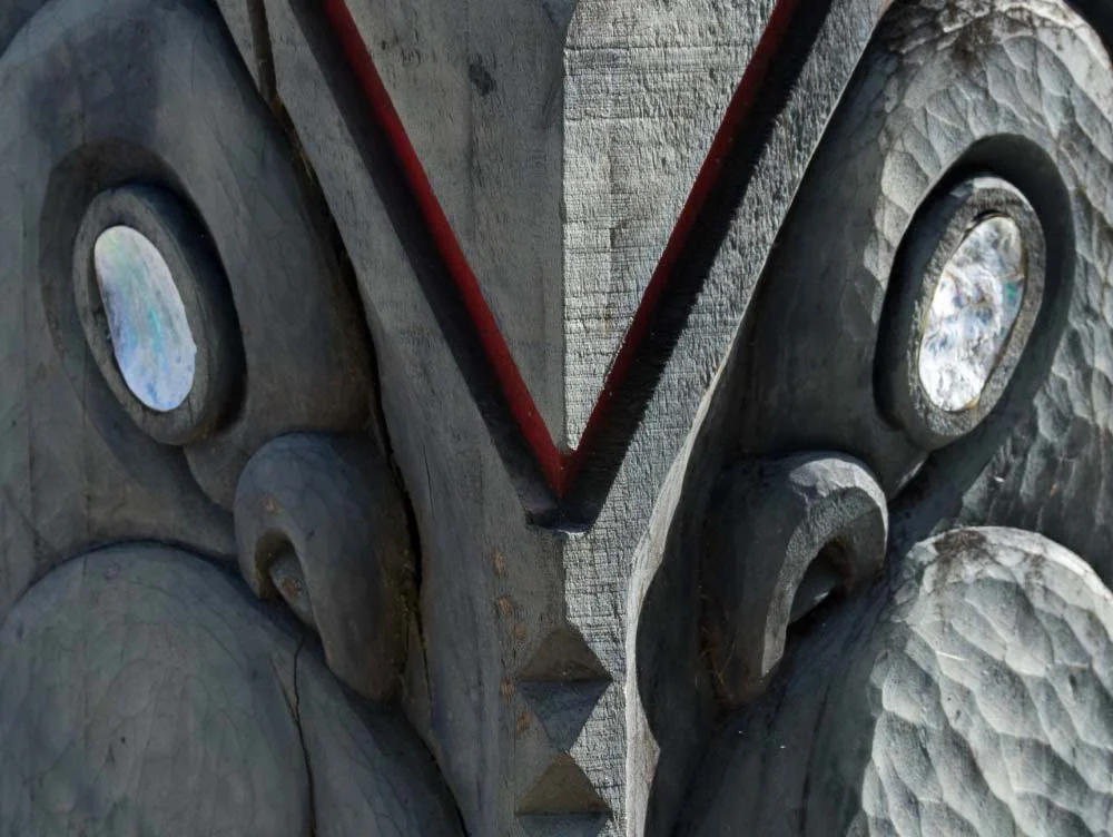 te-puna-taiao-kaupapa-grid-image.jpg