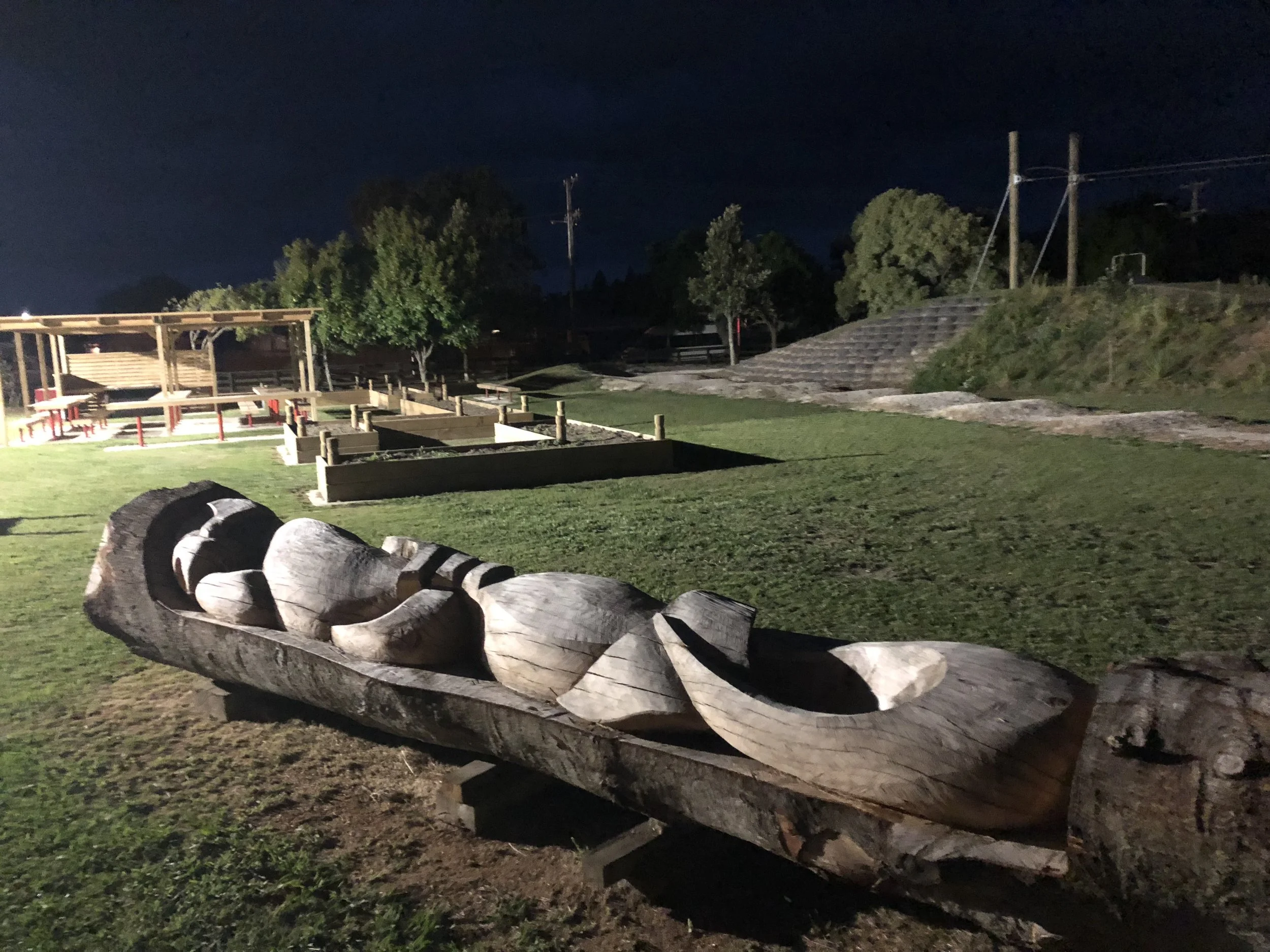 Implementation Pānui: Te Puna Taiao at Allandale School