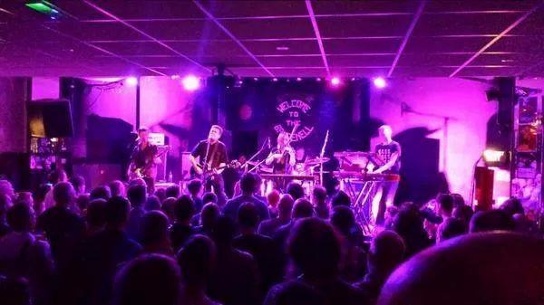 The-Chills-live-16.jpeg