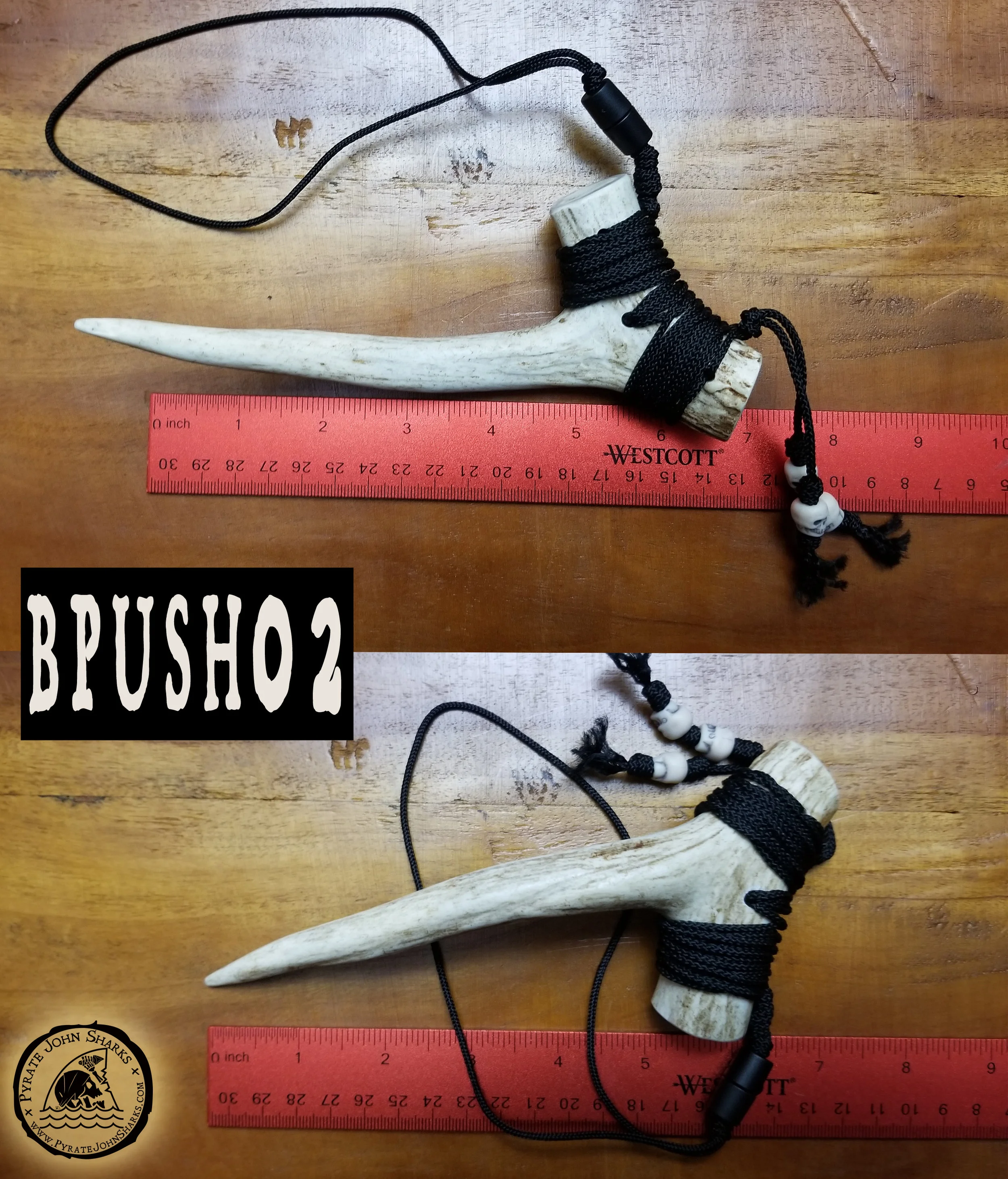 BPUSH02.jpg