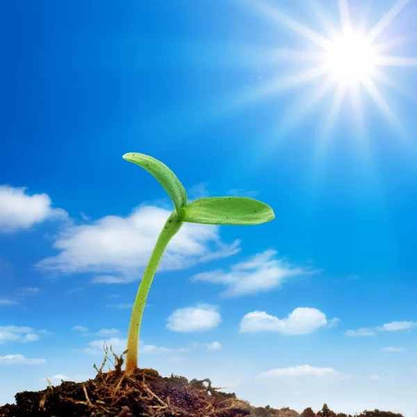 不離不棄  ~致臺灣生命教育