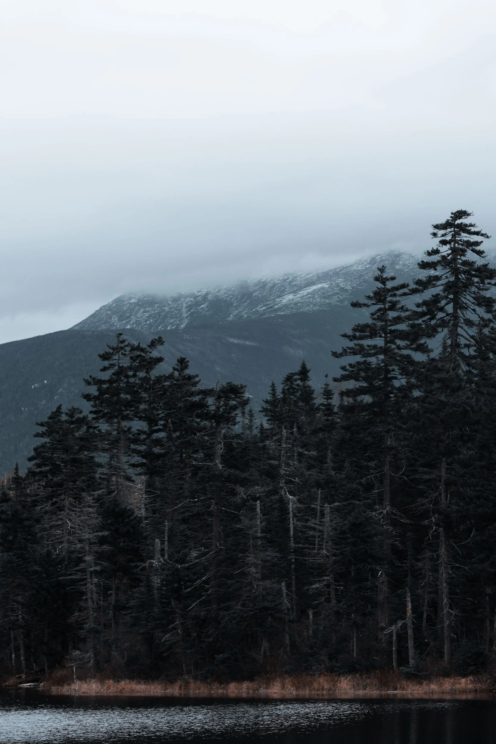 Foggy White Mountains (Copy)