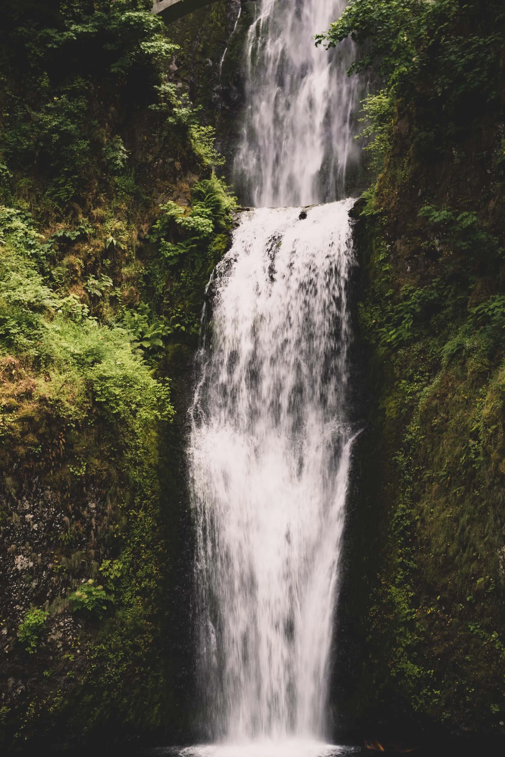 Multnomah Falls Medium (Copy)