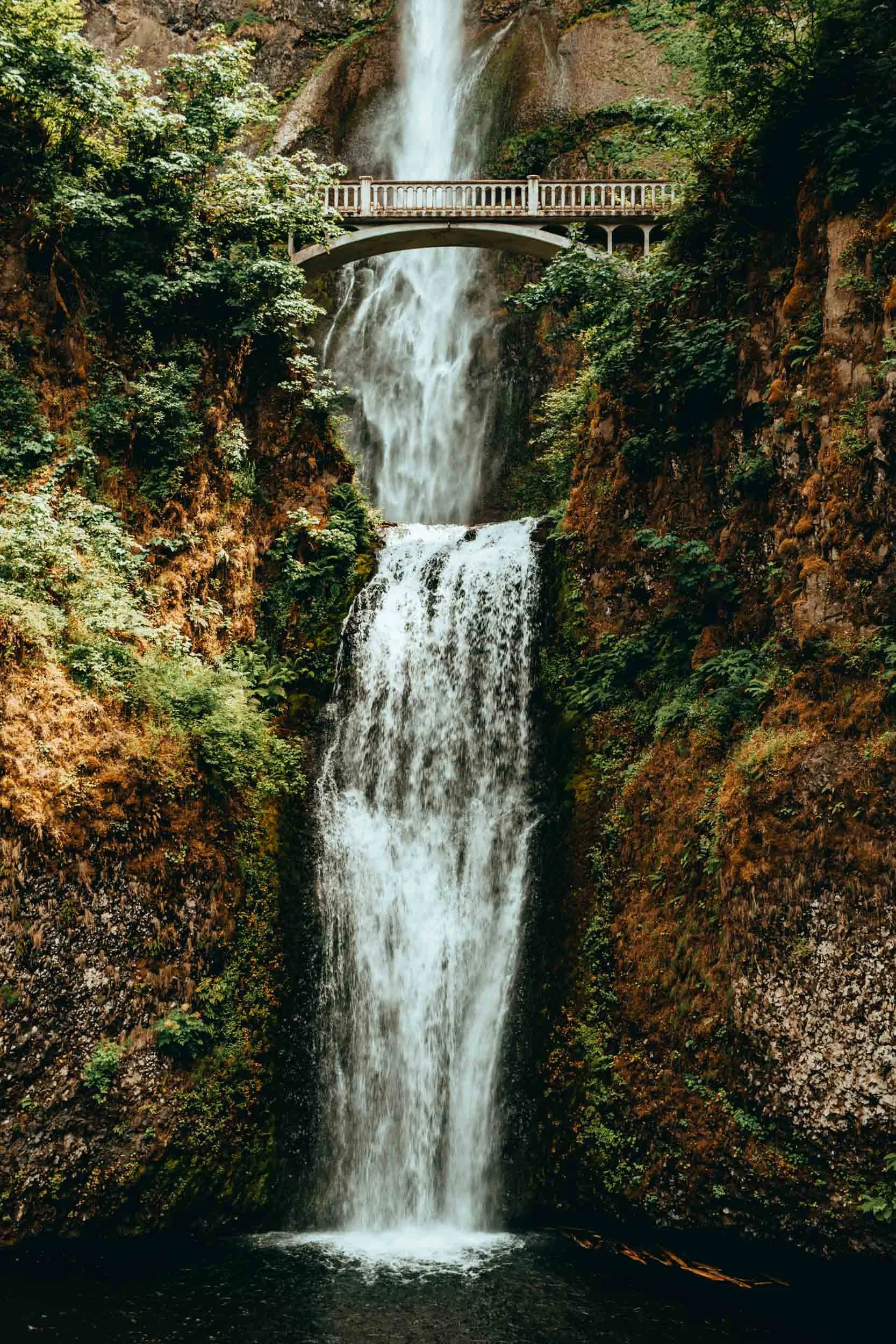 Multnomah Falls (Copy)