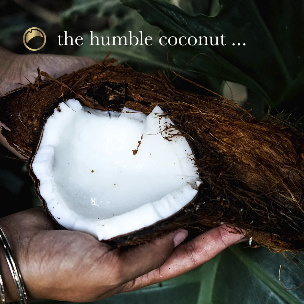 Coconut Blog 1.jpg