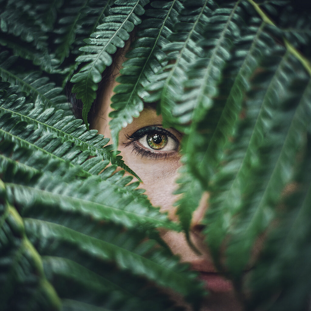 The eyes have it...