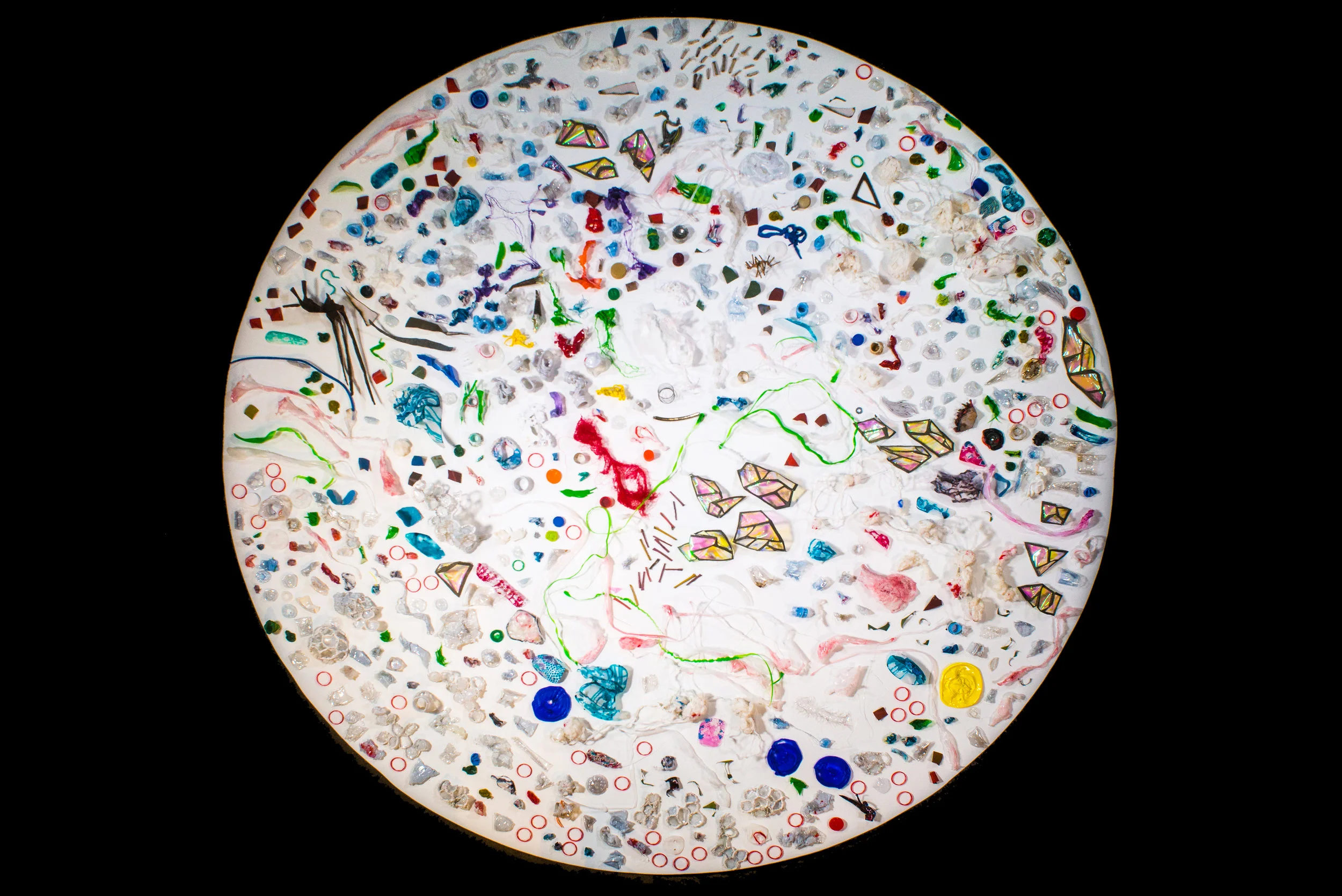taxonomy.jpg