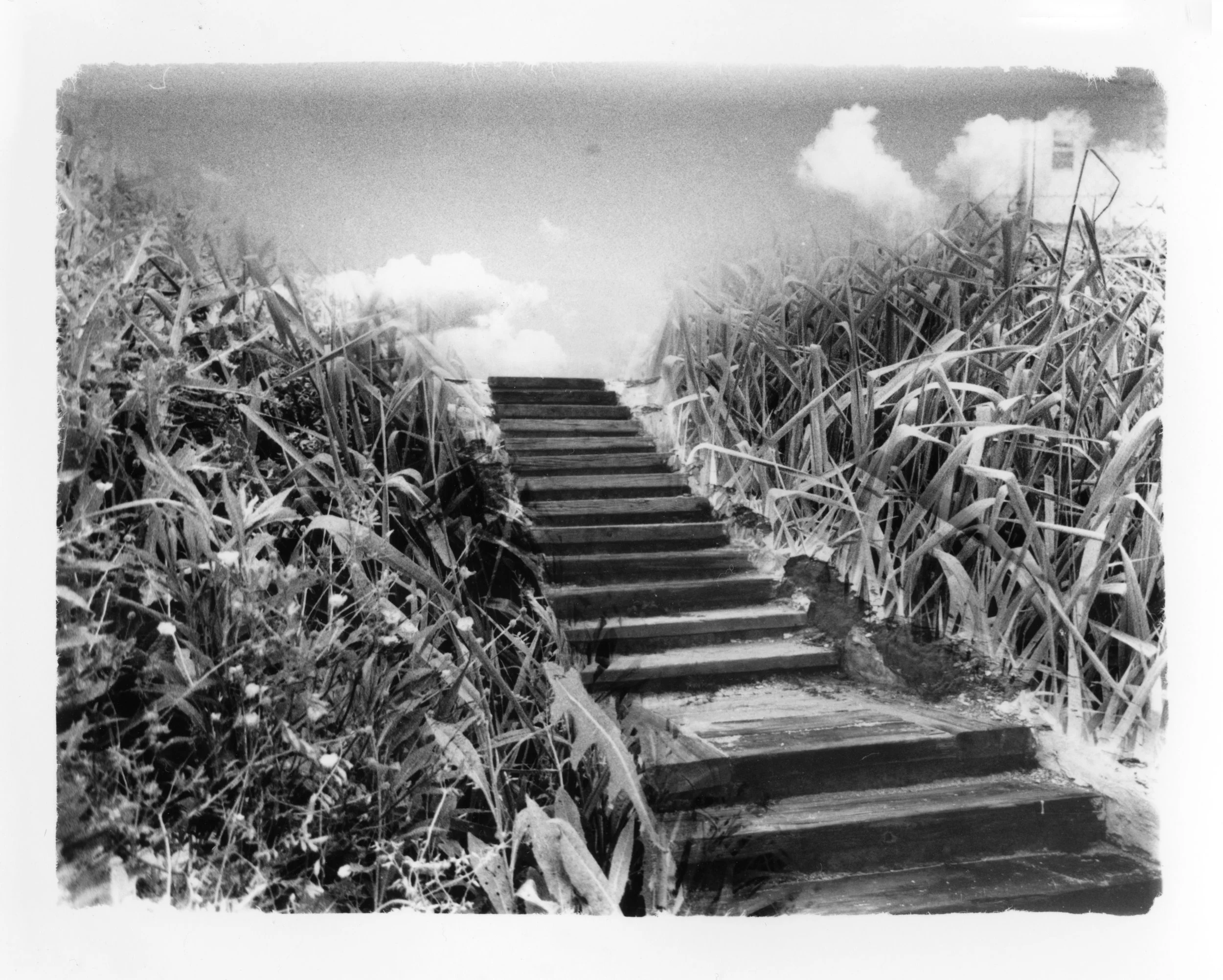 Steps.jpg