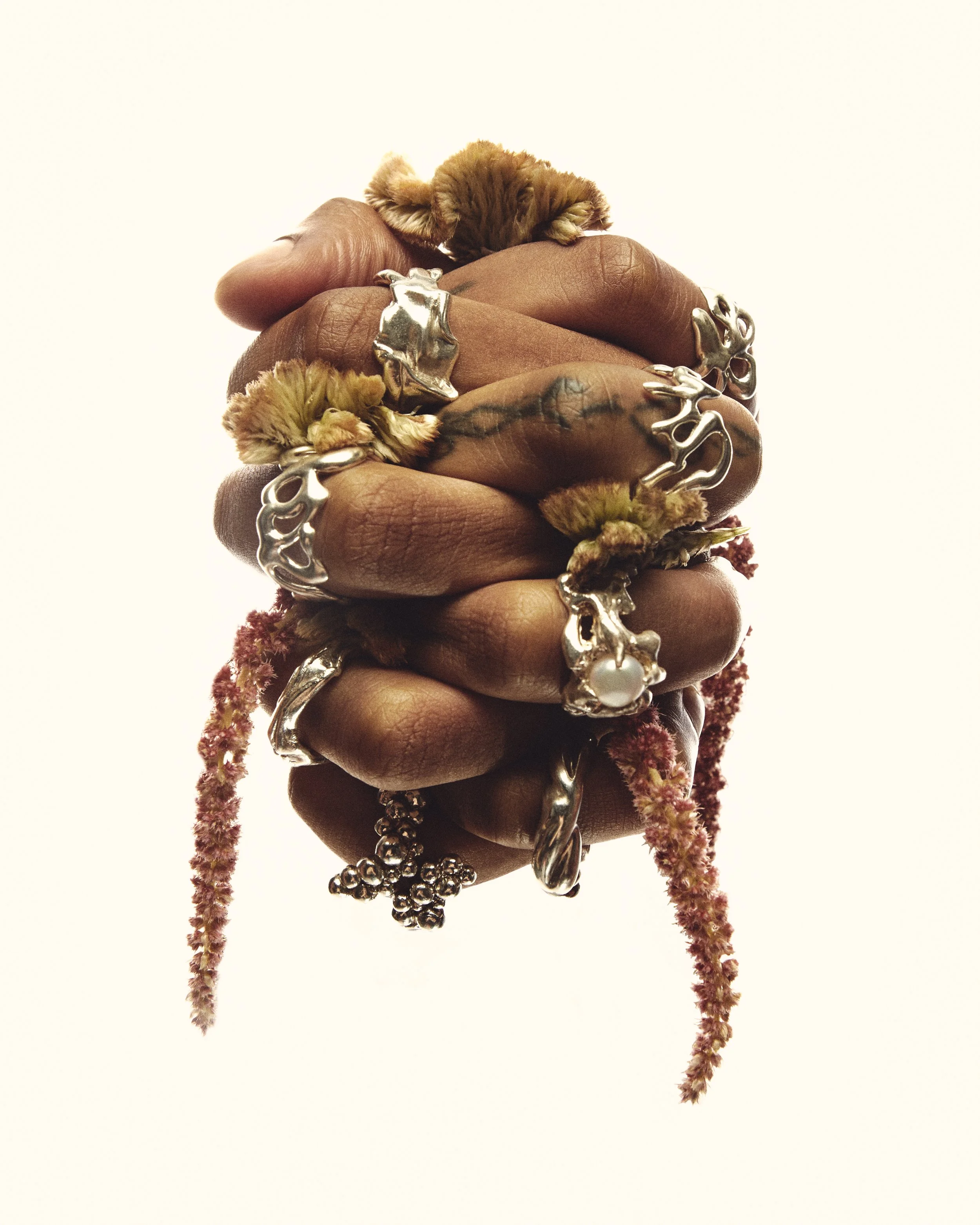INSECTA1645_HAND.jpg