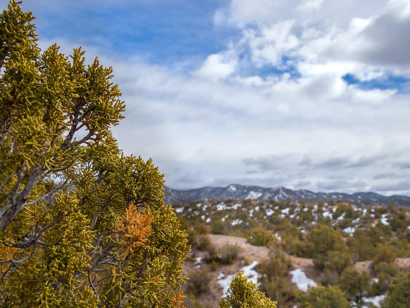 landscape_1_.jpg