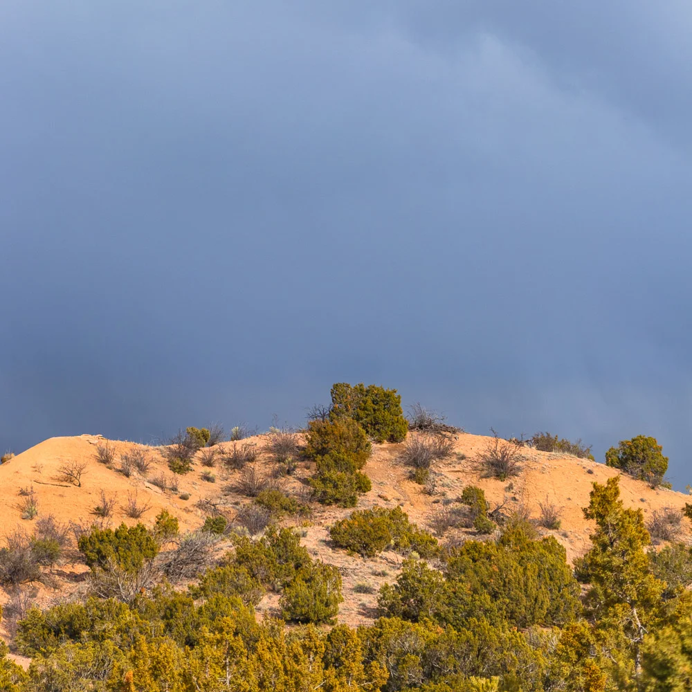 landscape_3_.jpg