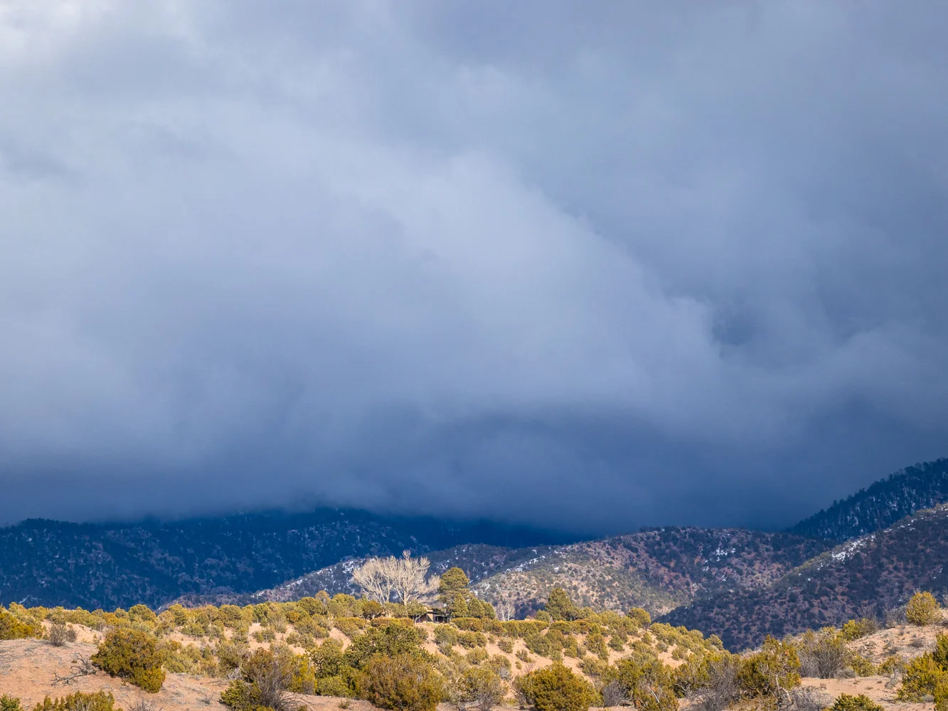 landscape_7_.jpg