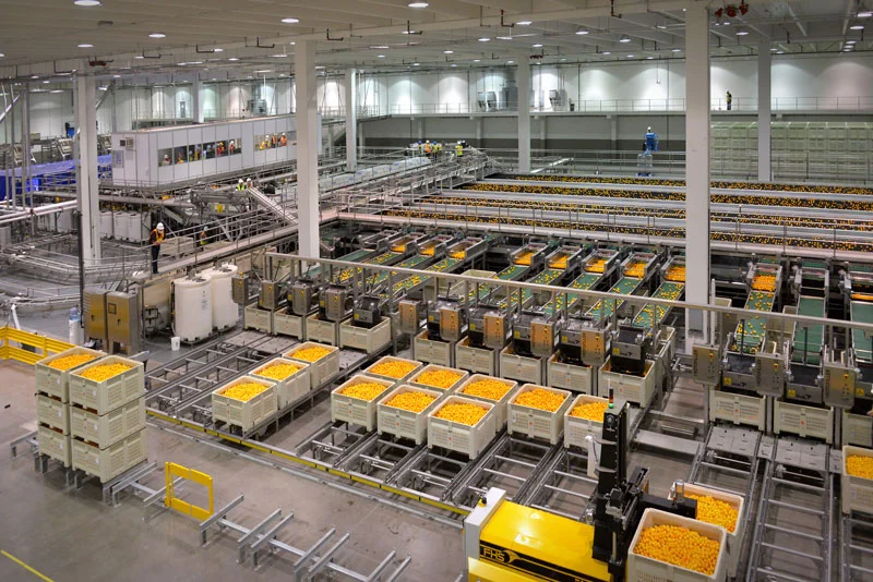 Food Processing.jpg