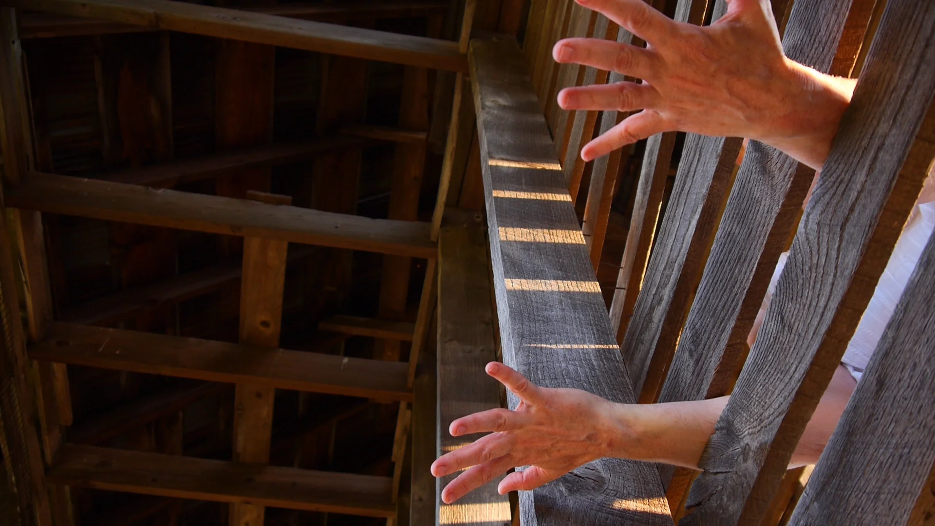 alter idem photo 1 hands.jpg